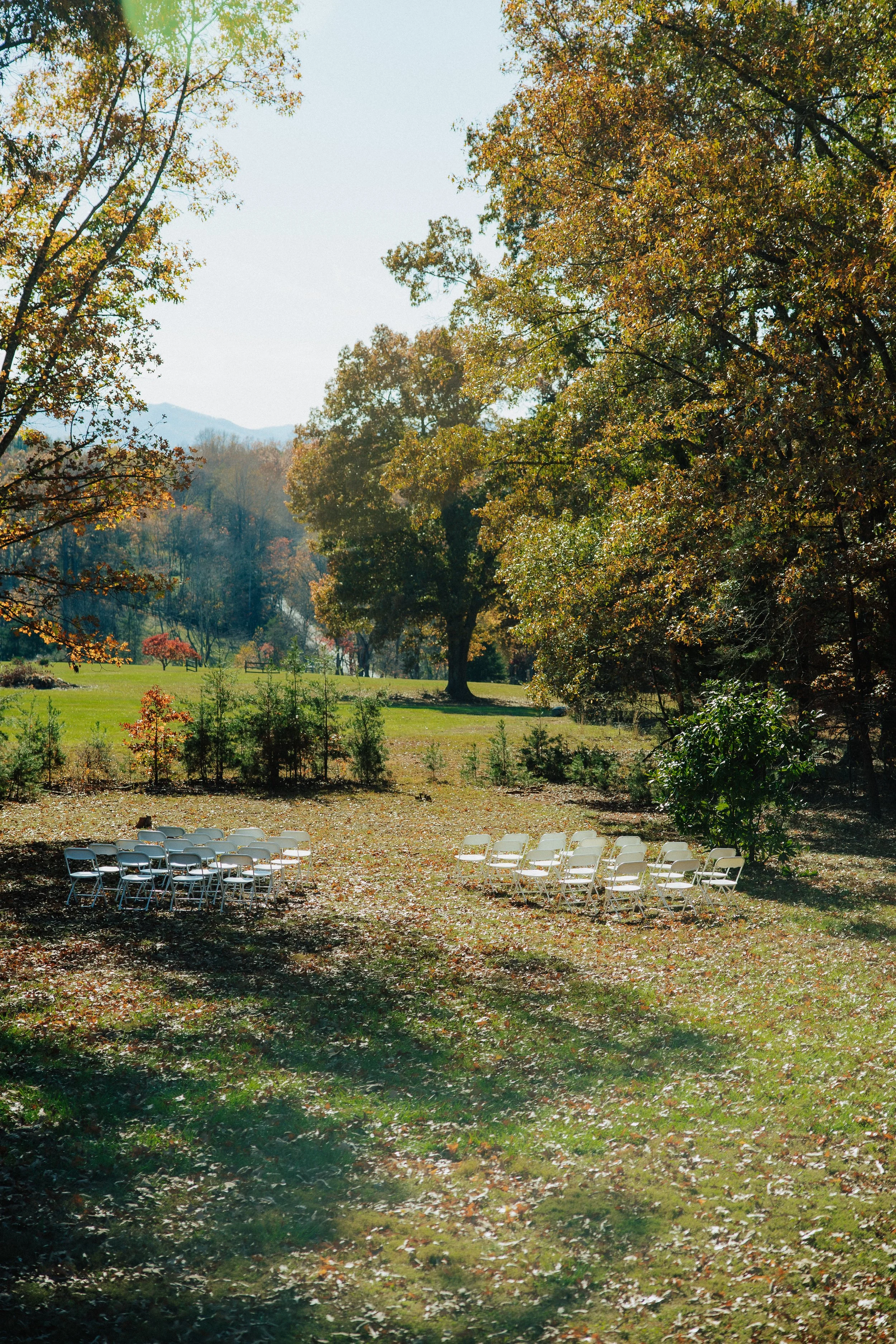 An outdoor scene with rows of white chairs set up on grass, shaded by large trees with autumn-colored leaves, in a park or garden setting.