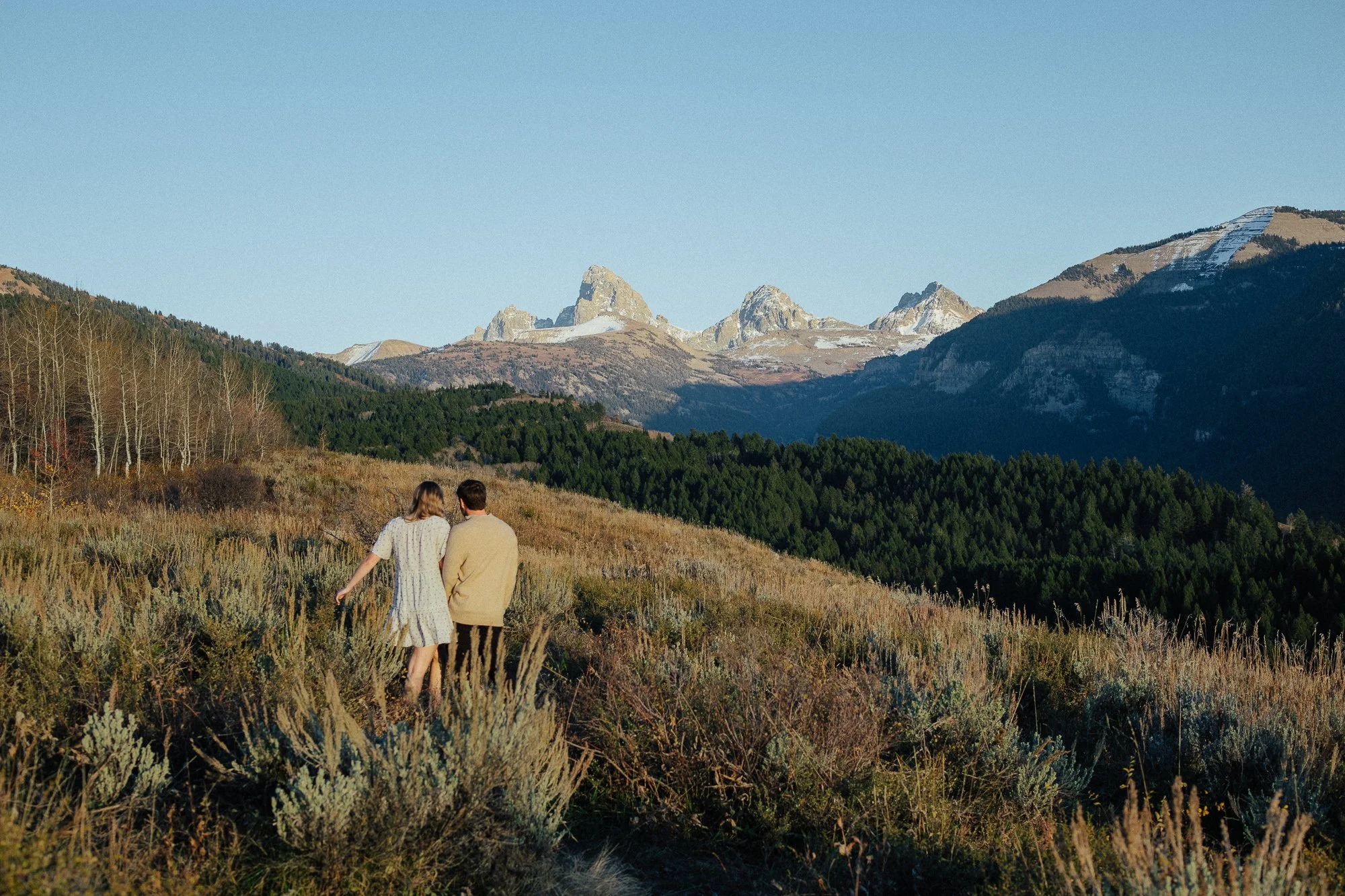 A couple walking through a grassy field with mountains in the background under a clear blue sky.