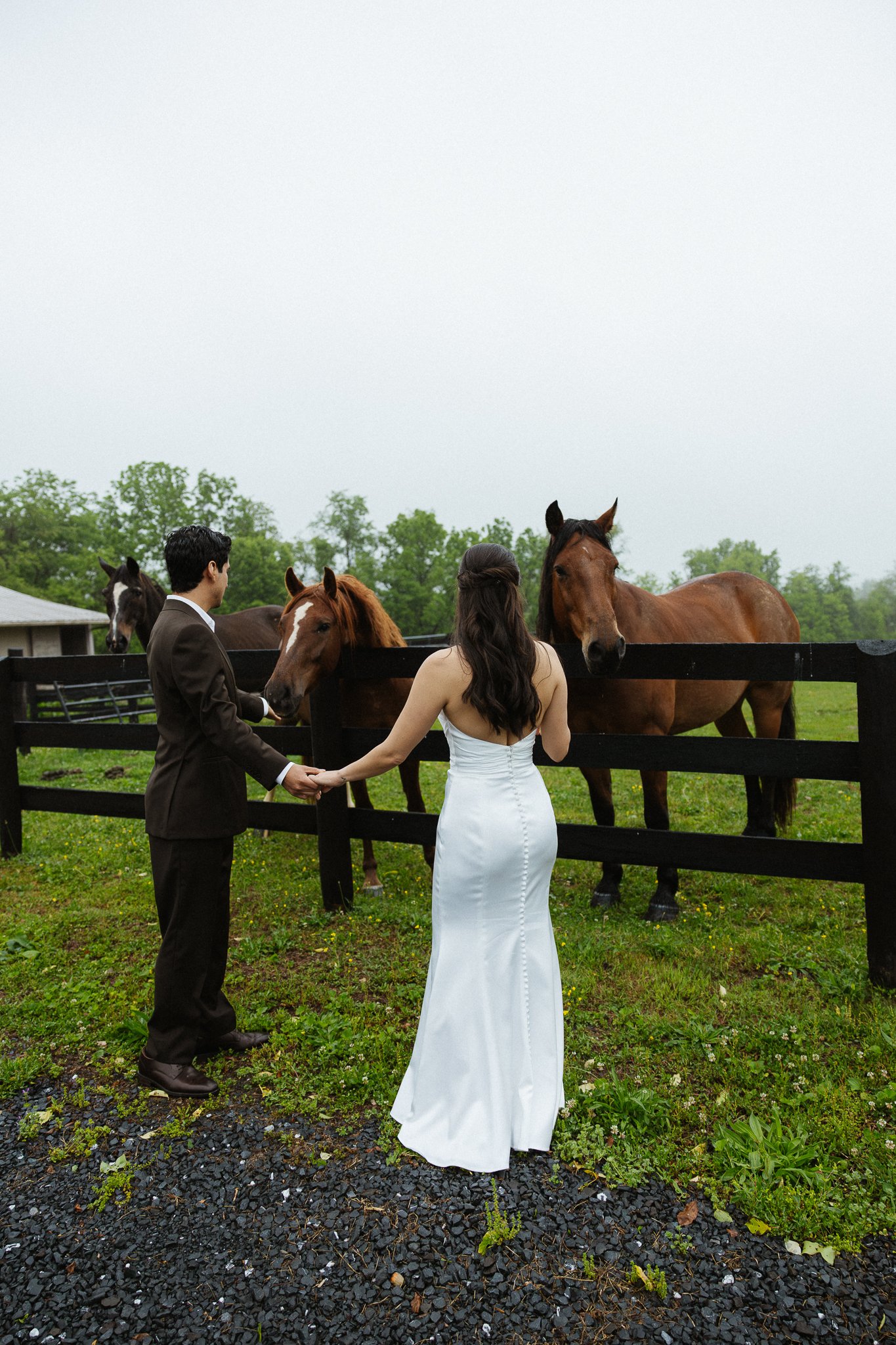 A bride and groom holding hands, standing near a wooden fence with horses on the other side, in an outdoor setting with green trees and overcast sky.
