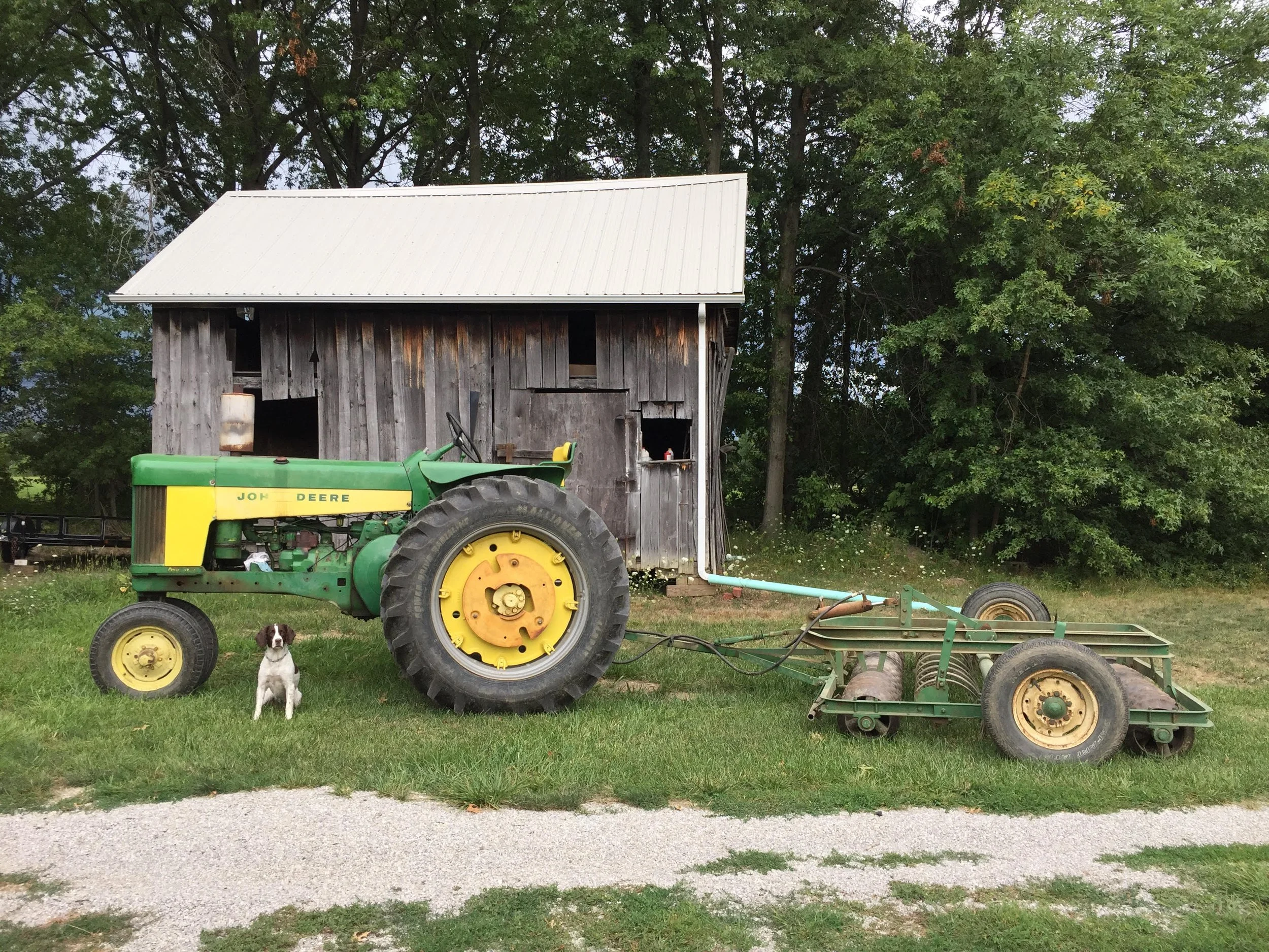 A small black and white dog sitting on grass in front of a green tractor with yellow wheels, an old wooden barn, and green trees in the background.