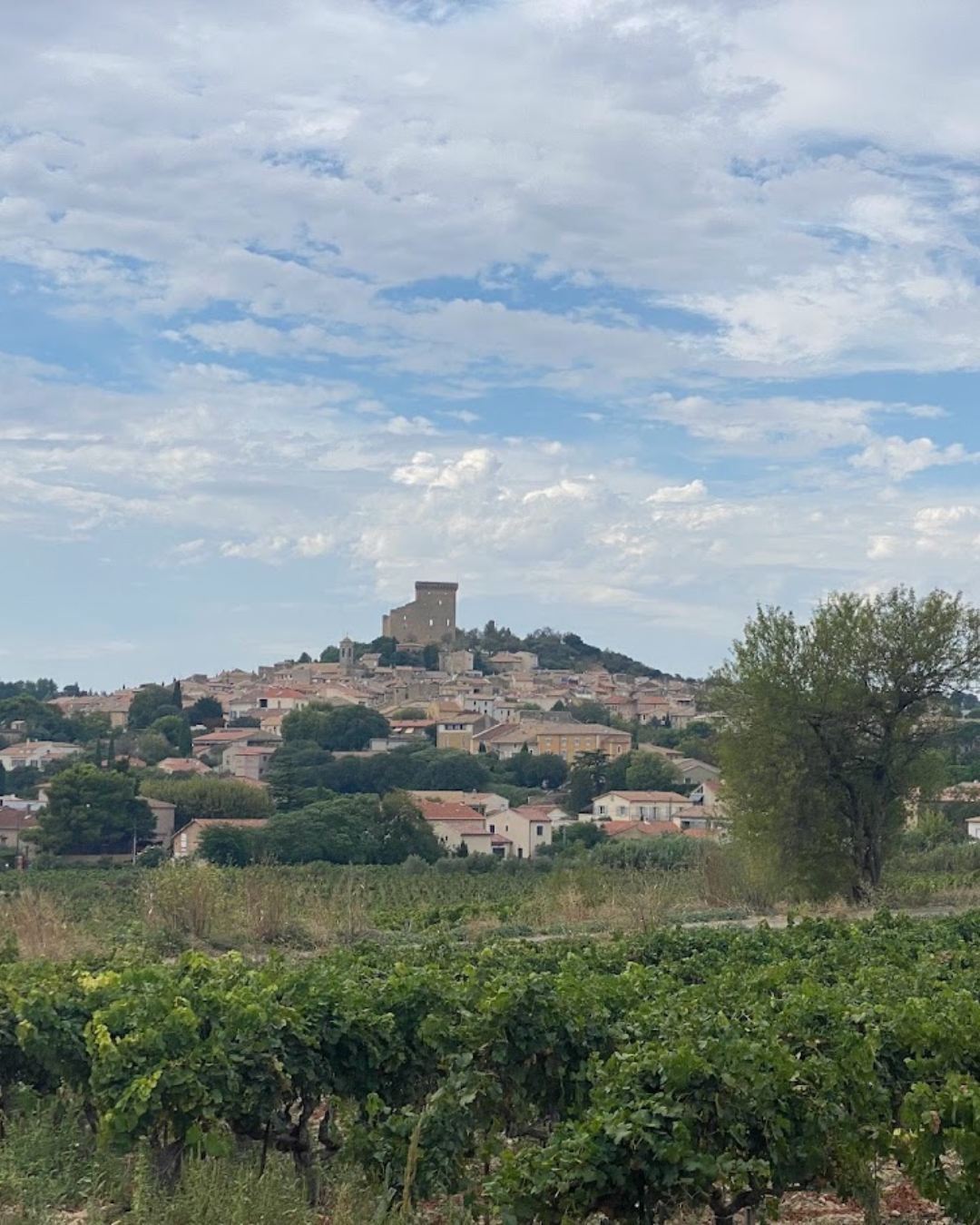 A hilltop village with a large castle or fortress at its peak, surrounded by houses, trees, and vineyards, under a partly cloudy sky.