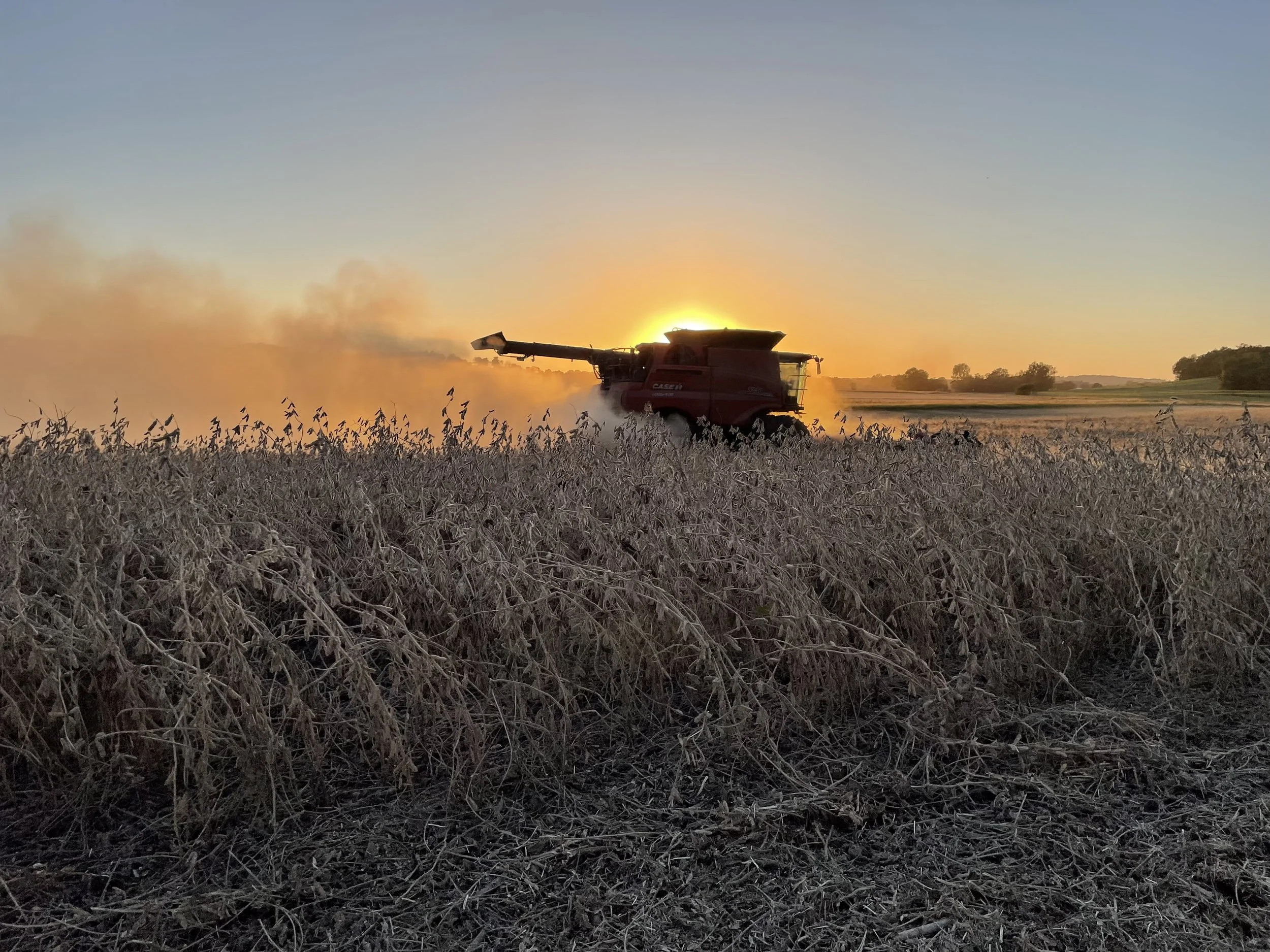 A combine harvester working in a field at sunset, with dust and crop debris behind it.