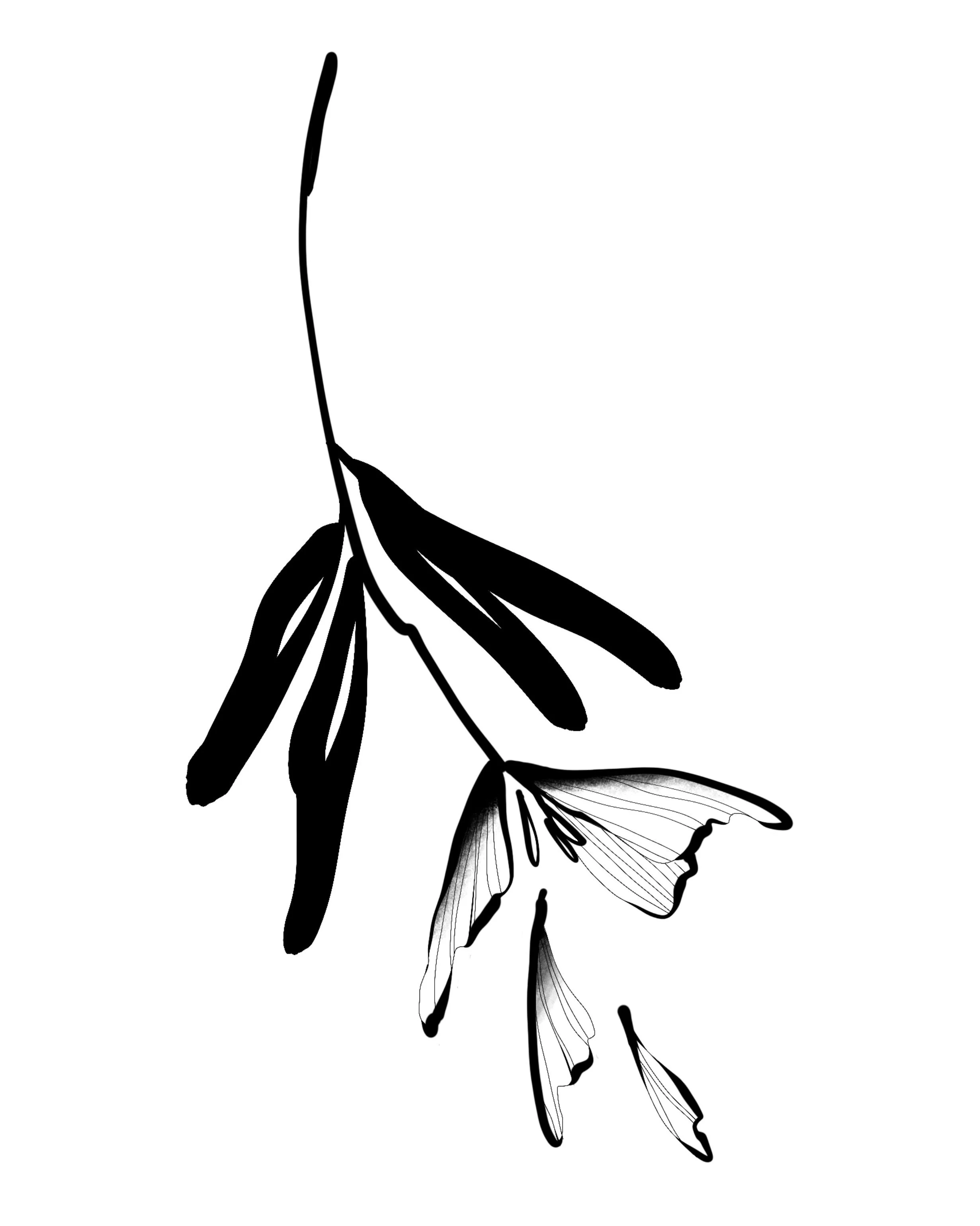 available design &amp; placement ideas ! 🥀

can also be tattooed different placement / size
if you&lsquo;d like to cover up something small, we can easily hide it behind a leaf. just let me know when booking in 🤍

for enquiries or to book, please D