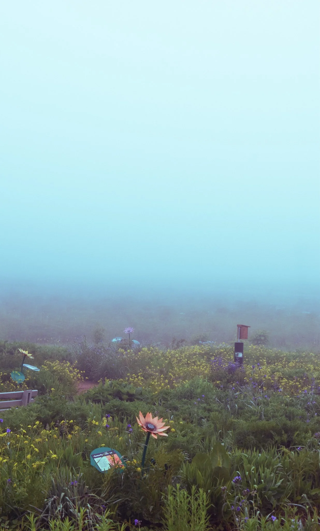 A foggy landscape with a garden of colorful flowers, small signs, and a distant building or structure in the background.
