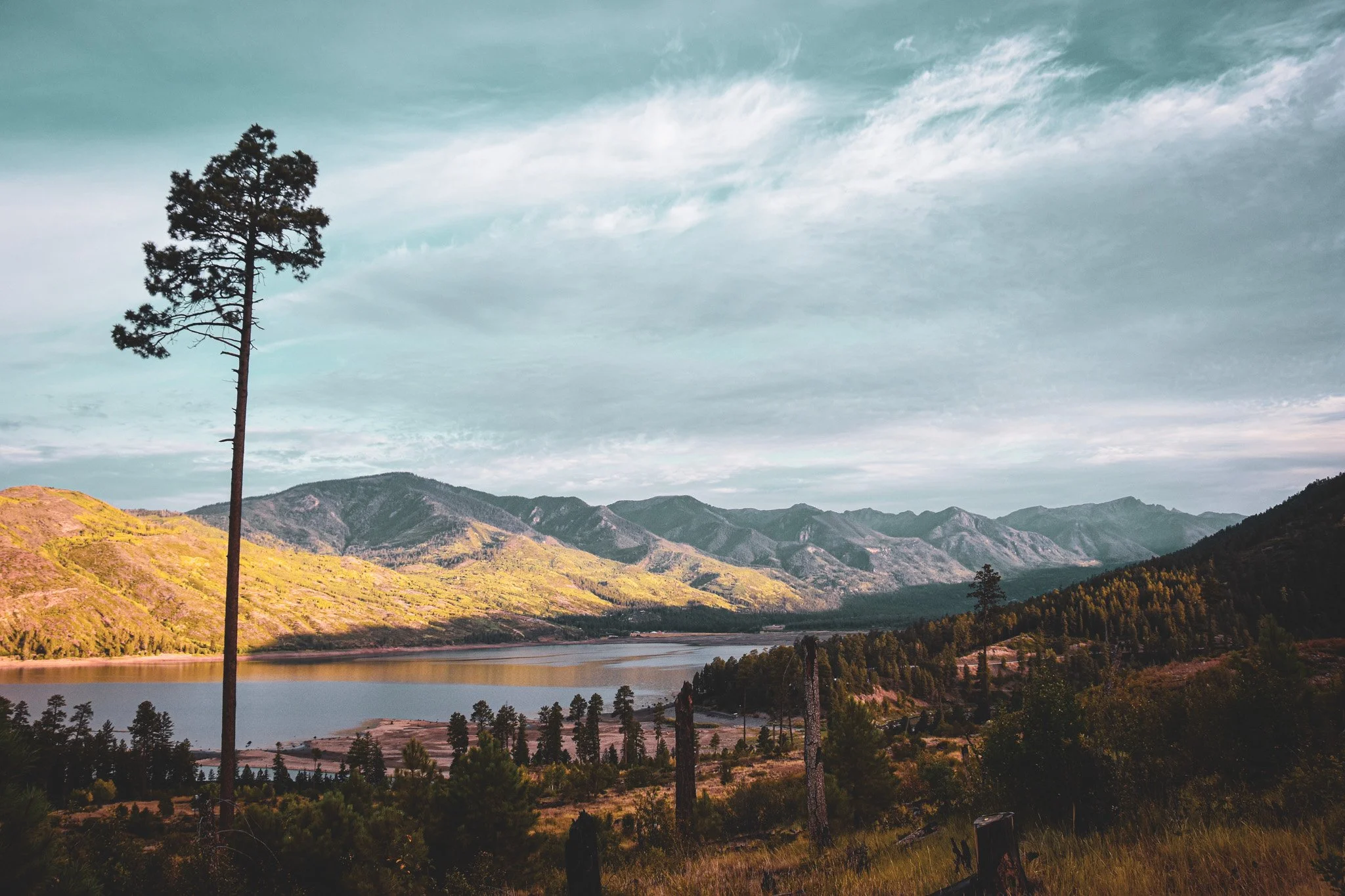 Scenic landscape with a tall solitary pine tree in the foreground, rolling hills, a wide river, and distant mountains under a mostly cloudy sky.