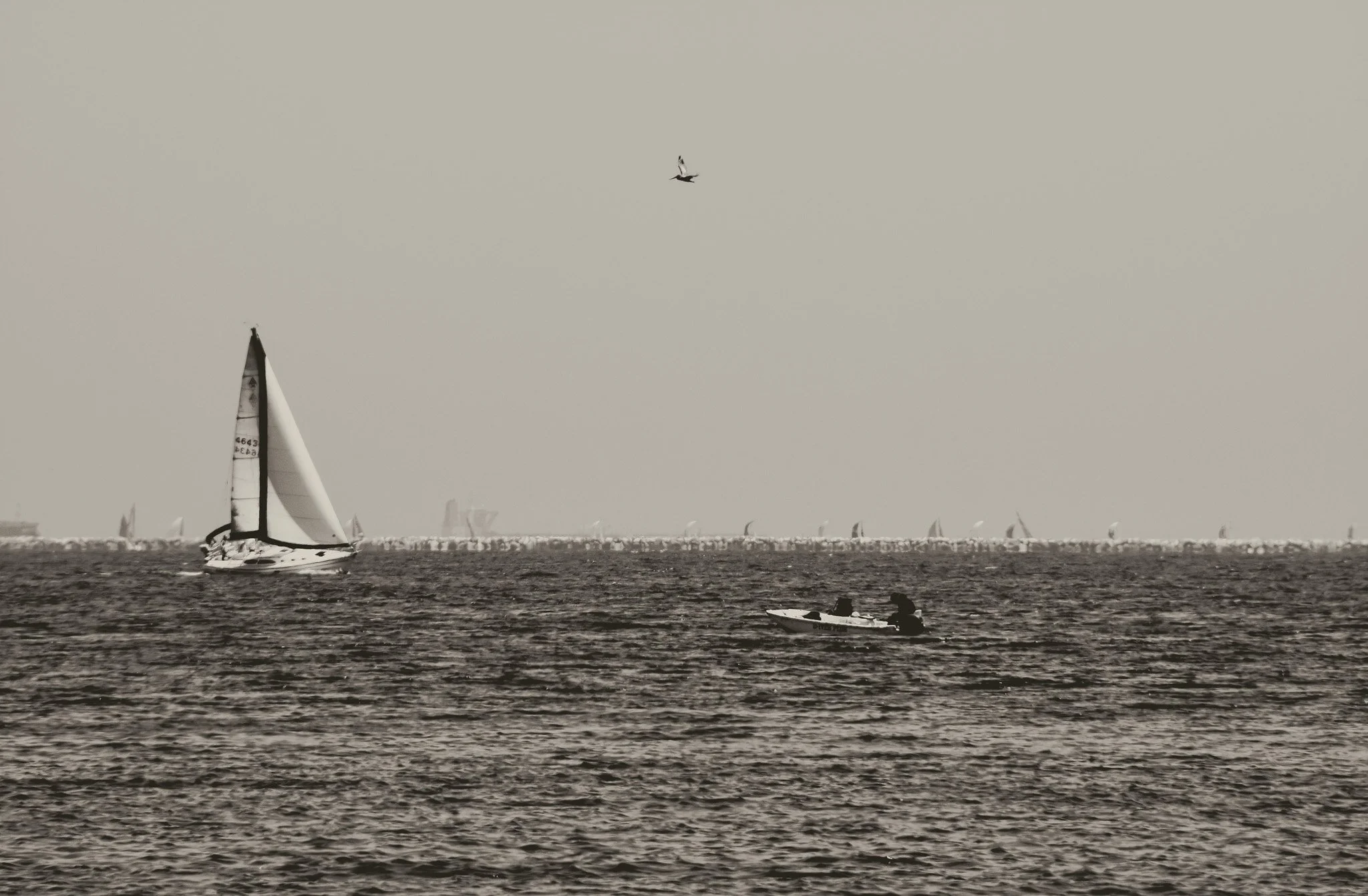 A sailboat with multiple sails on the ocean, with a small motorboat nearby, and numerous wind turbines on the horizon.