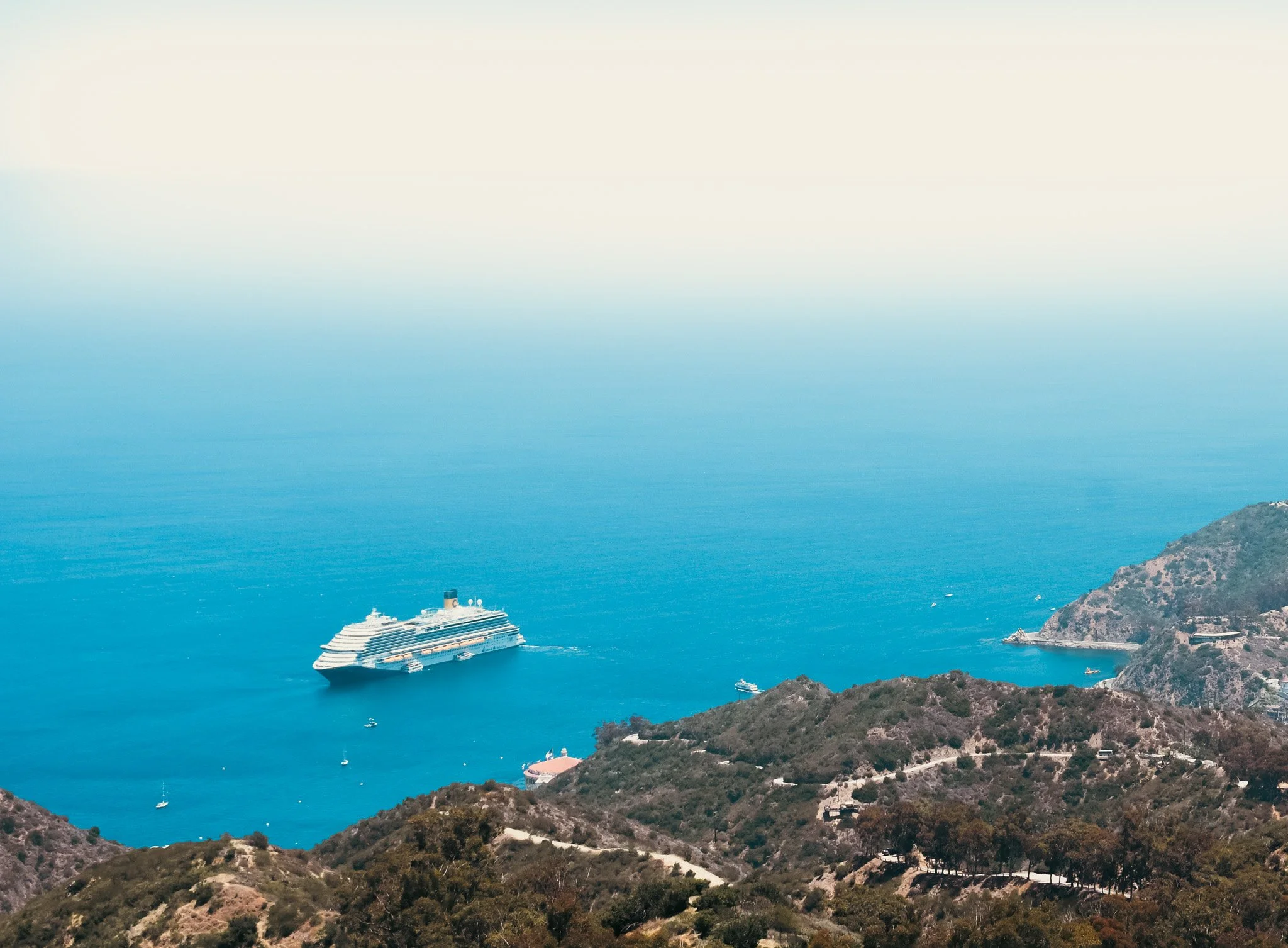 A large cruise ship sailing in blue waters near hilly, green terrain with some buildings, under a partly cloudy sky.