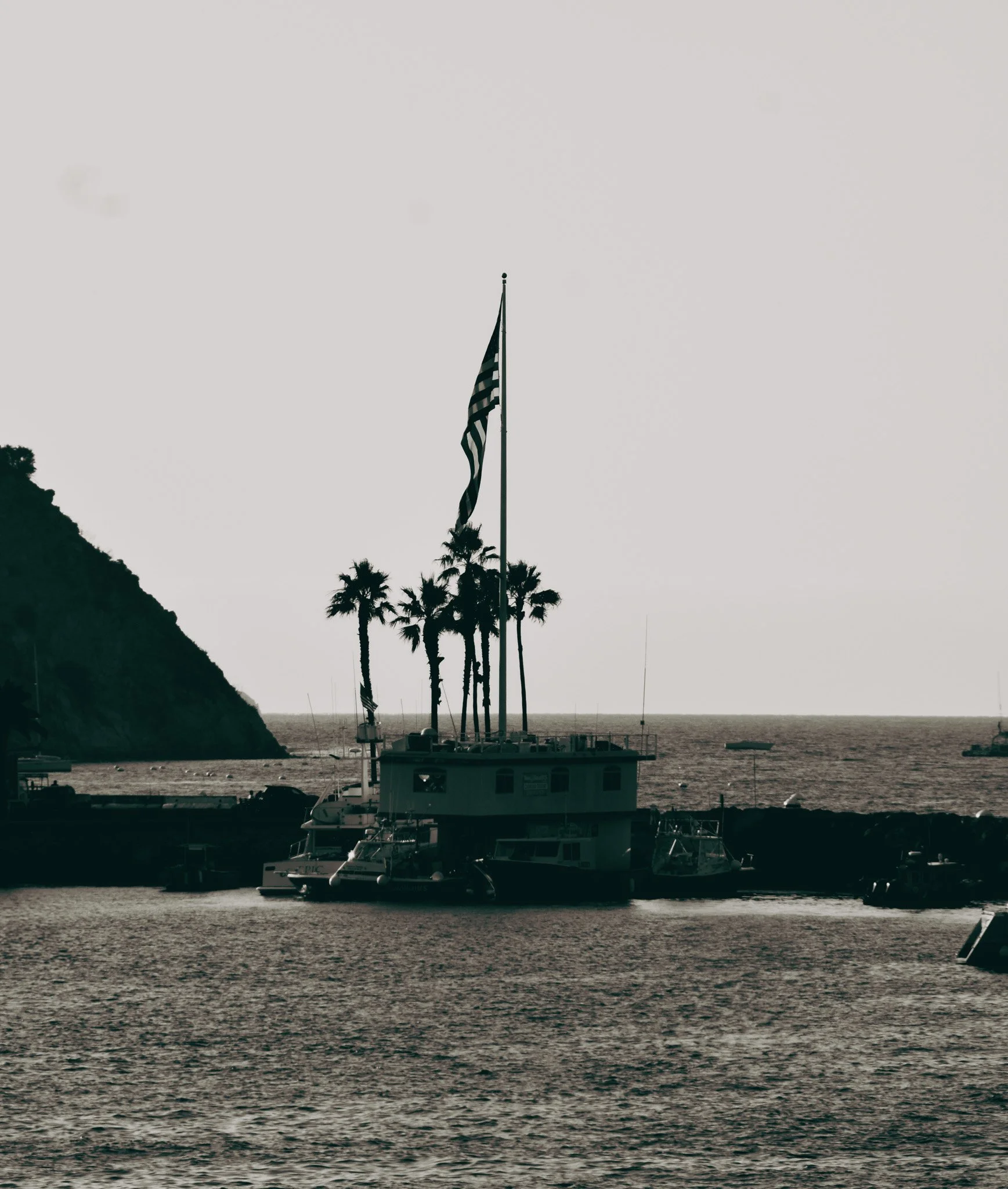A sailboat docked at a marina with palm trees and an American flag flying, overlooking the ocean, on an overcast day.