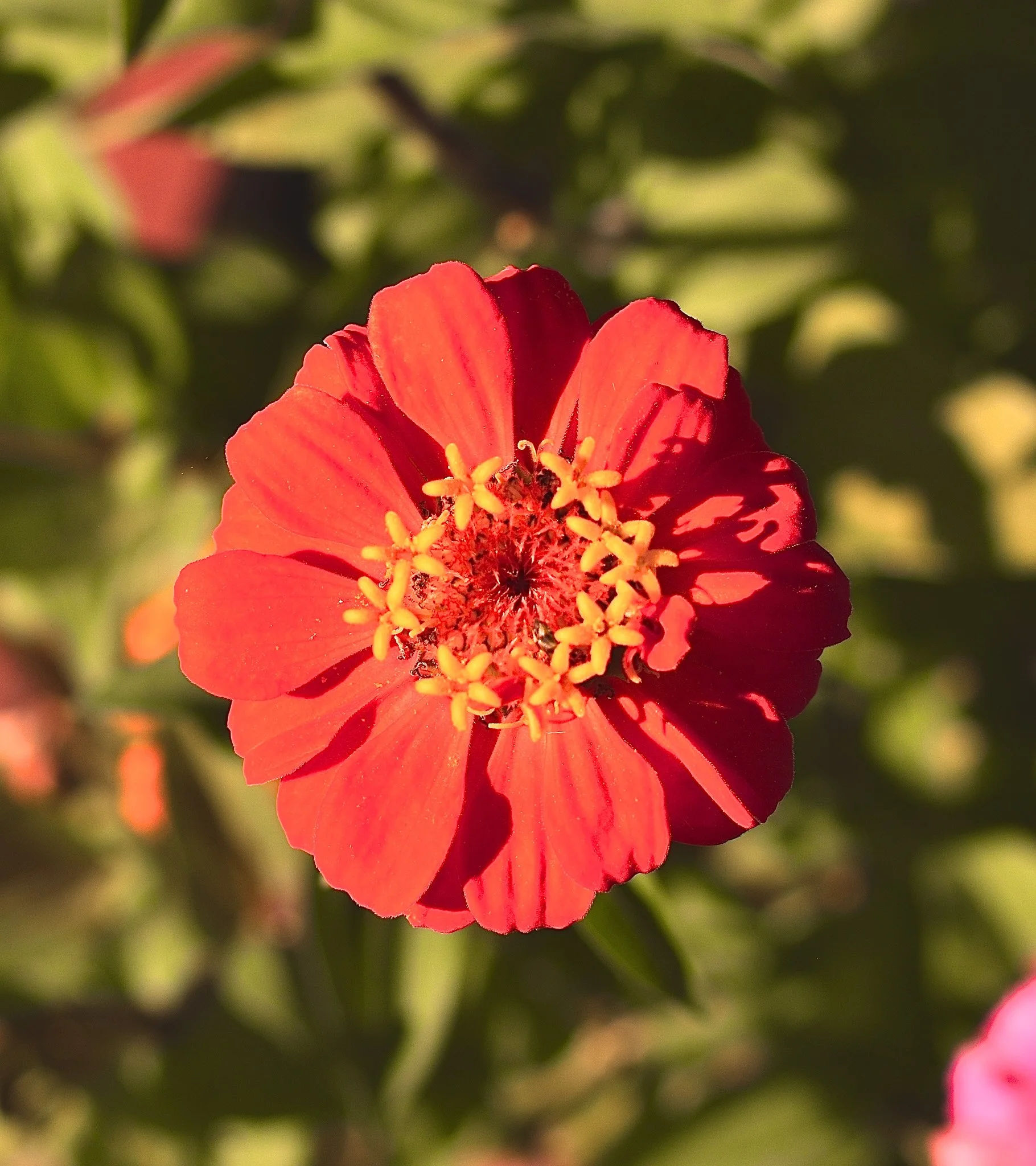 DSC_0569.jpg