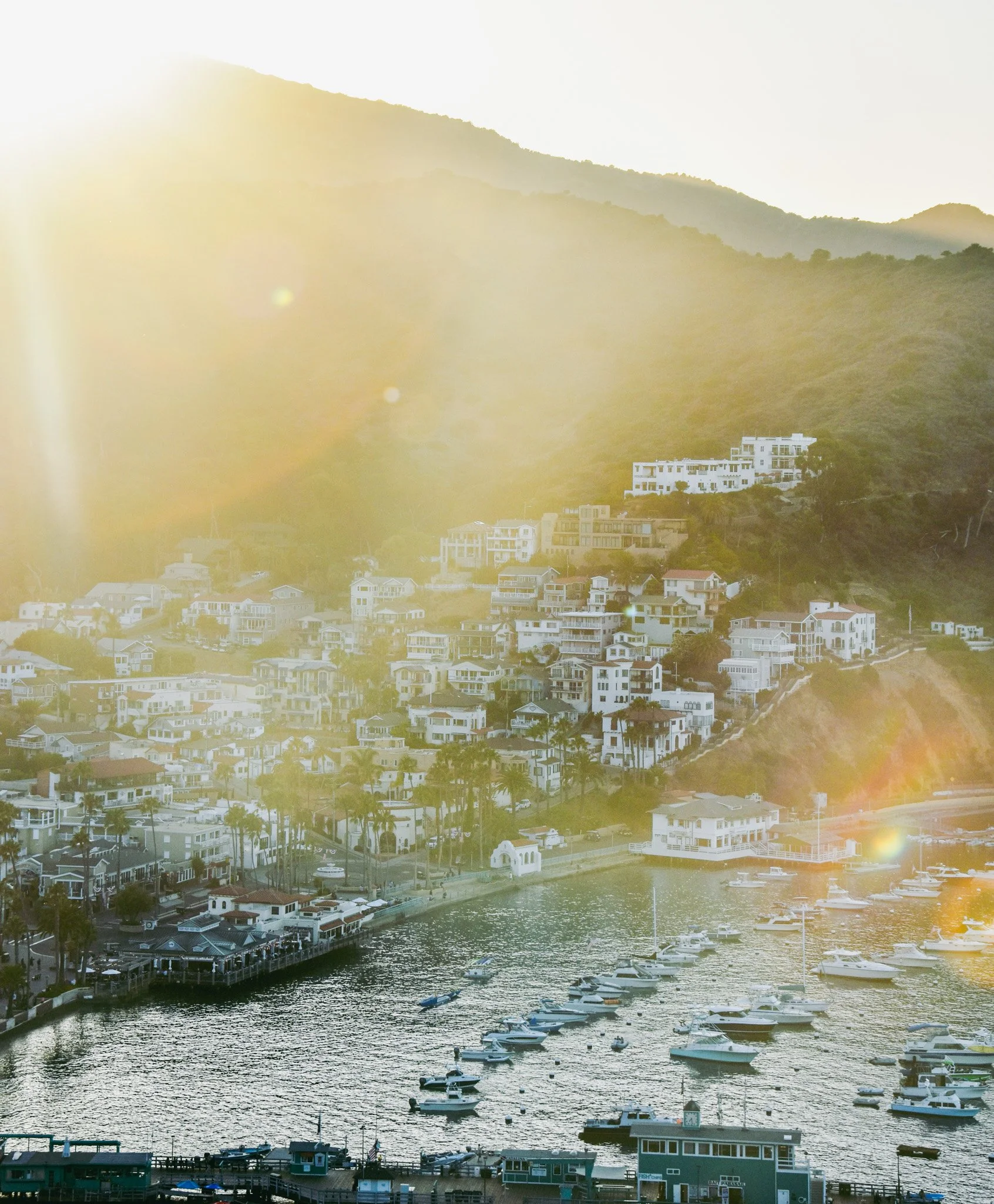 A marina filled with numerous boats docked in calm water, with a backdrop of hillside residential buildings and lush green mountains, illuminated by warm sunlight.