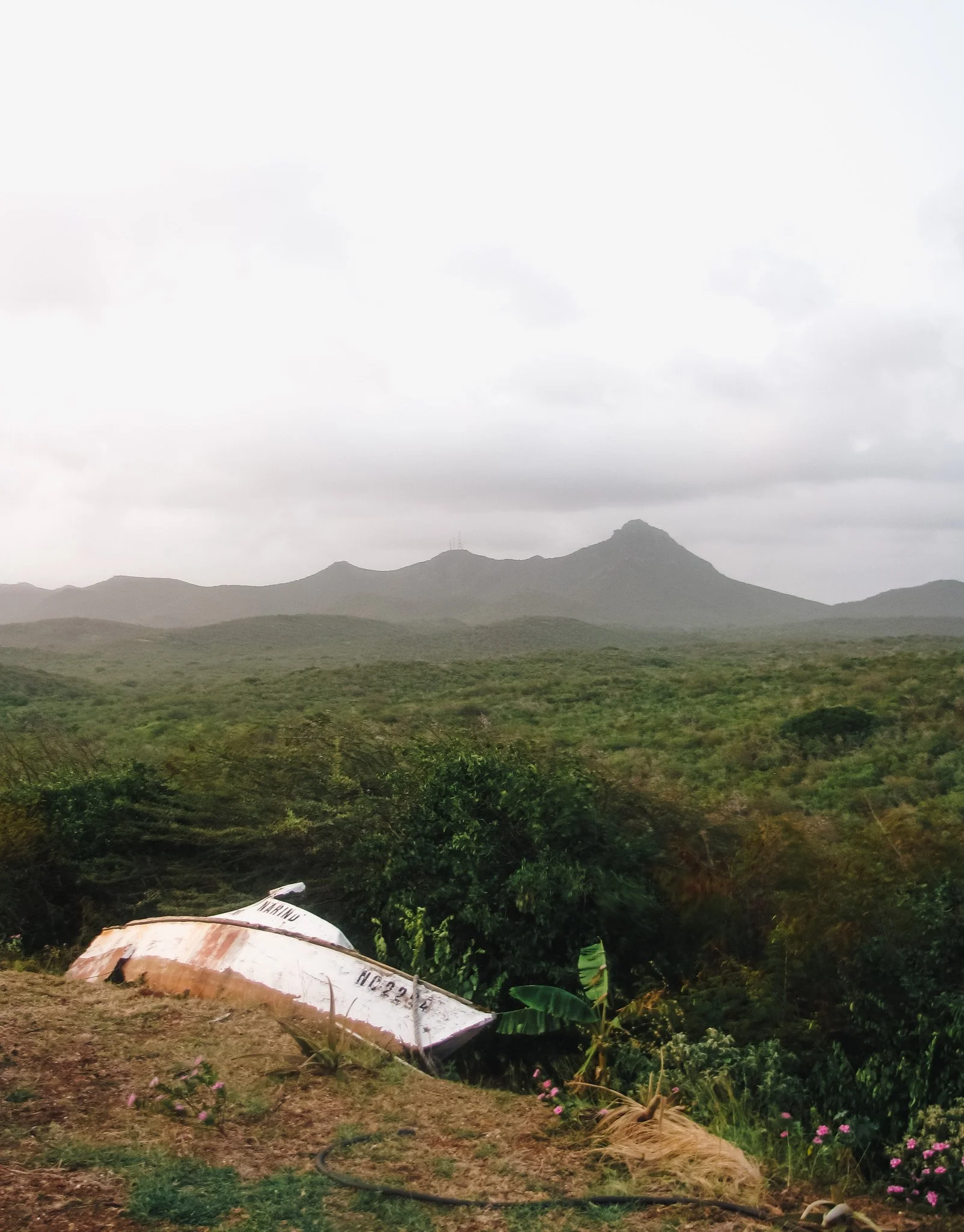 Mountain landscape under cloudy sky with greenery in foreground and a partially visible white boat or container on the ground.