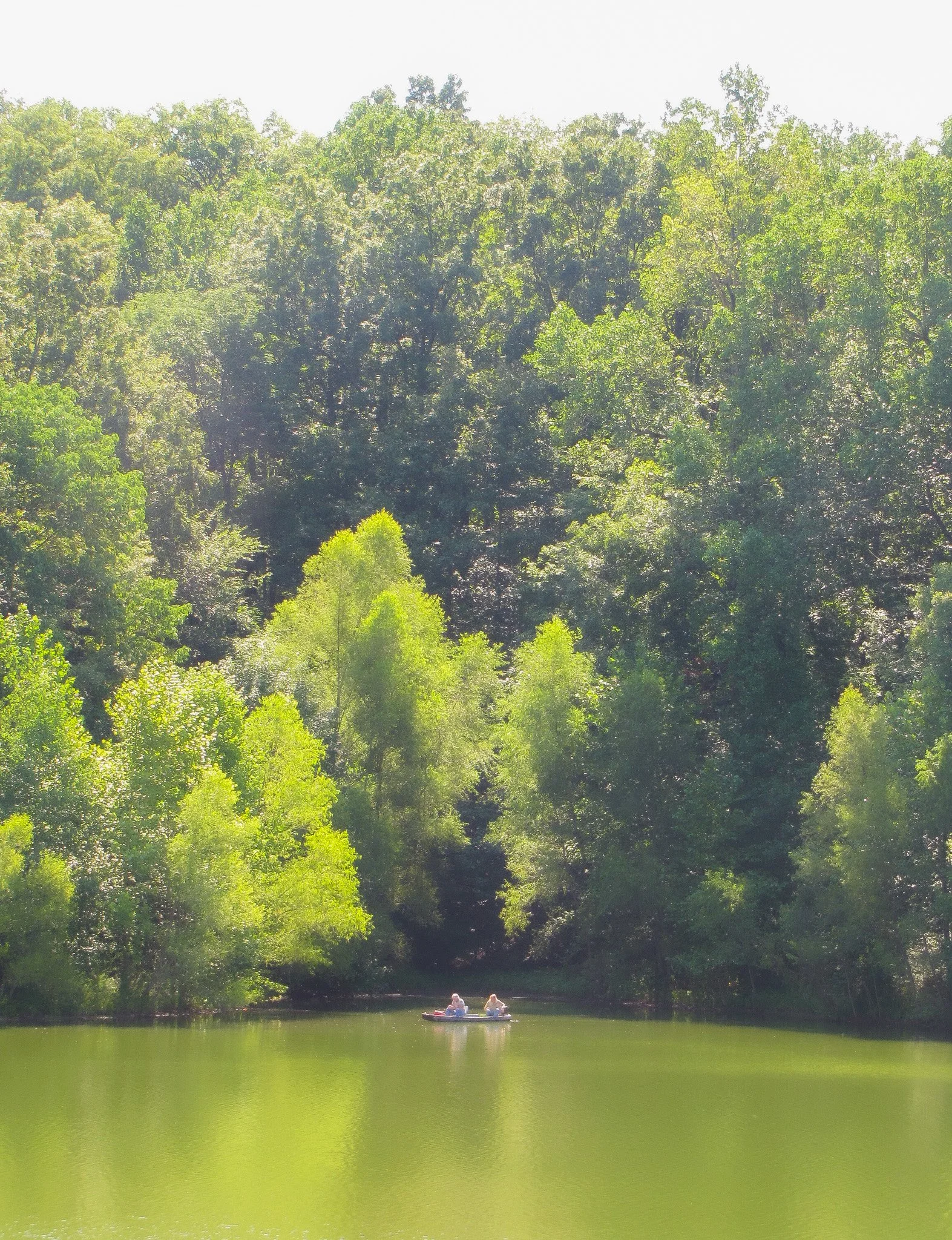Two people in a small boat on a calm river surrounded by lush green trees and dense forest canopy.