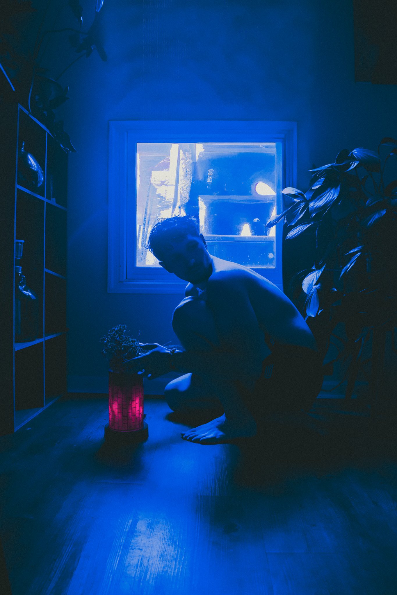 A dimly lit room illuminated by blue lighting, featuring a person sitting on the floor near a red cylindrical lamp, surrounded by houseplants, with a window in the background showing outdoor trees and a house.