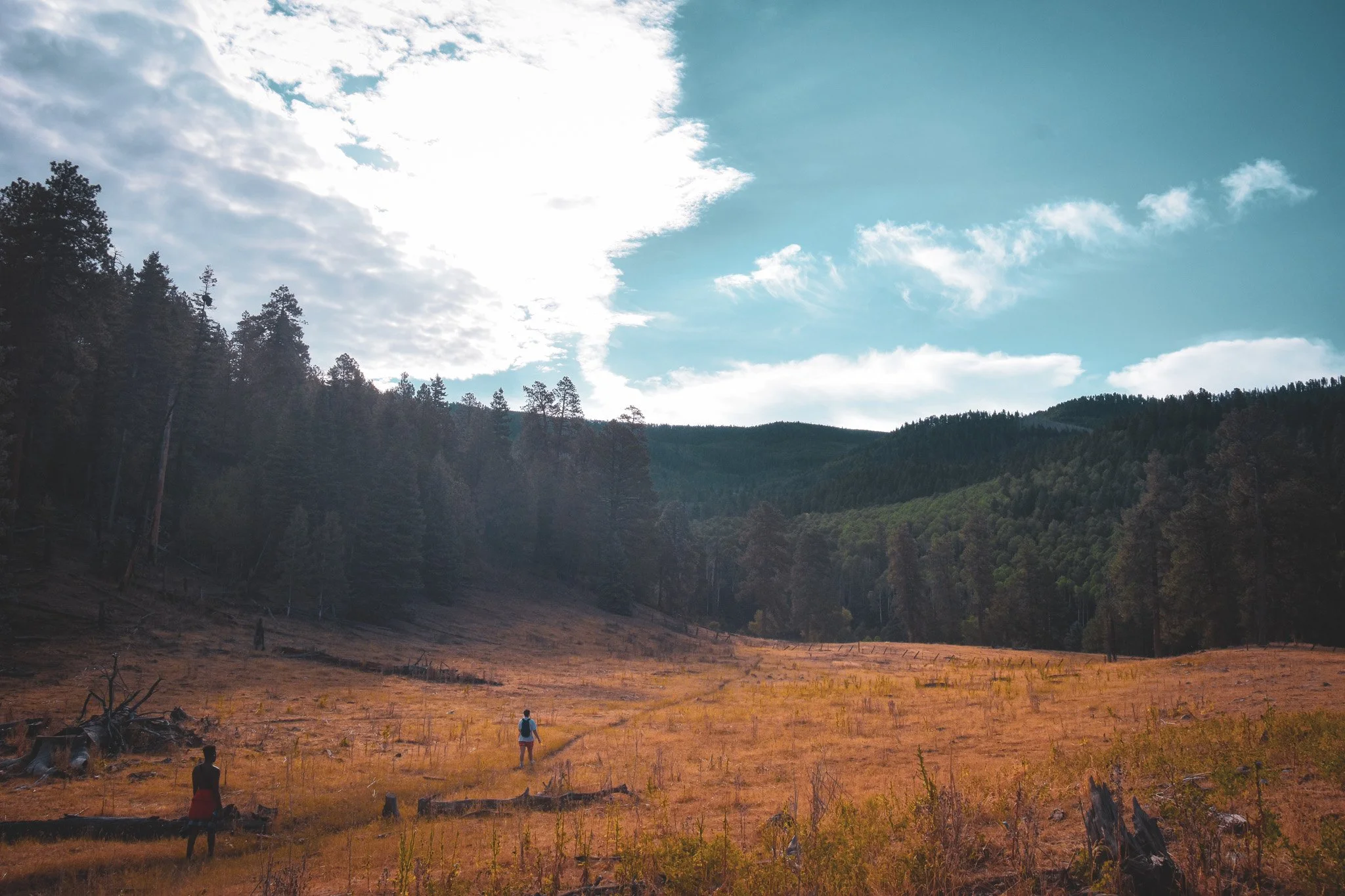 People walking across a dry, brown field with scattered tree stumps, surrounded by green hills and dense forest, under a partly cloudy sky with sunlight filtering through clouds.