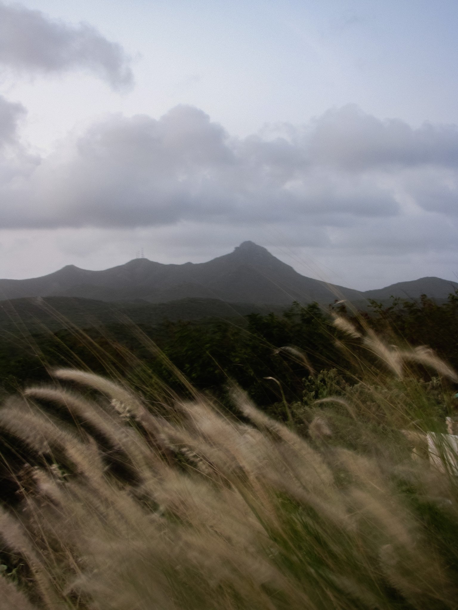 A mountainous landscape under a cloudy sky with tall grasses in the foreground.