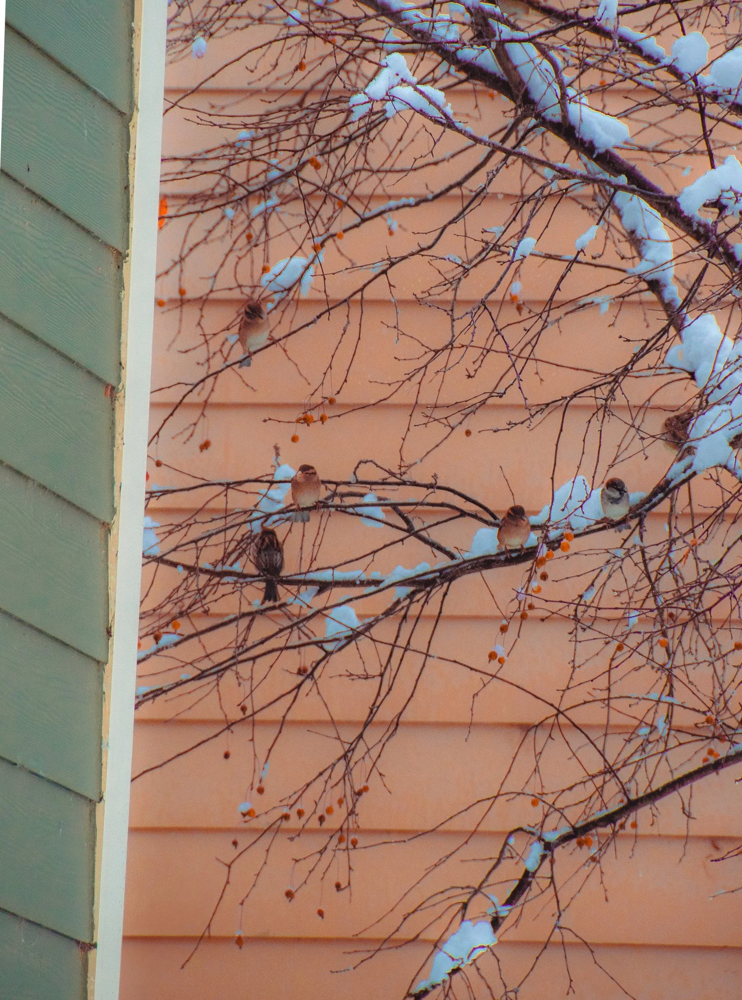DSC_0133.jpg