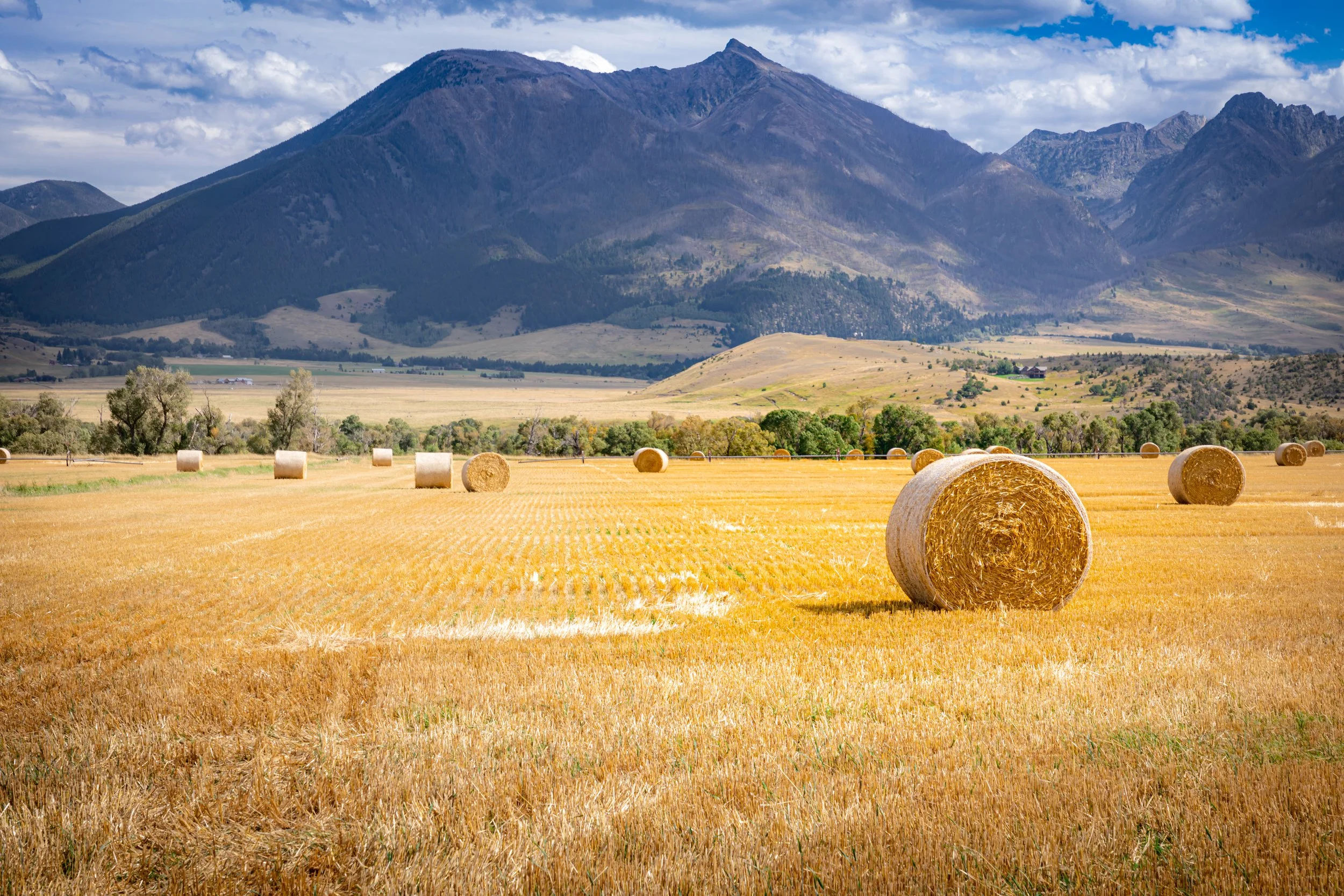 Hay bales on a ranch in Wyoming with mountains in the back
