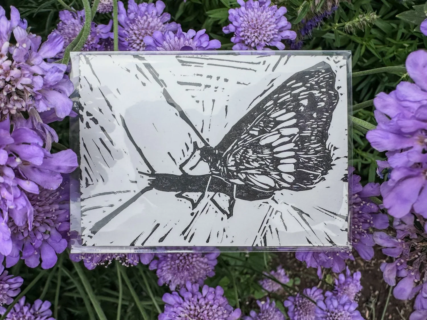"Silver Spotted Skipper" ACEO Artist Trading Card