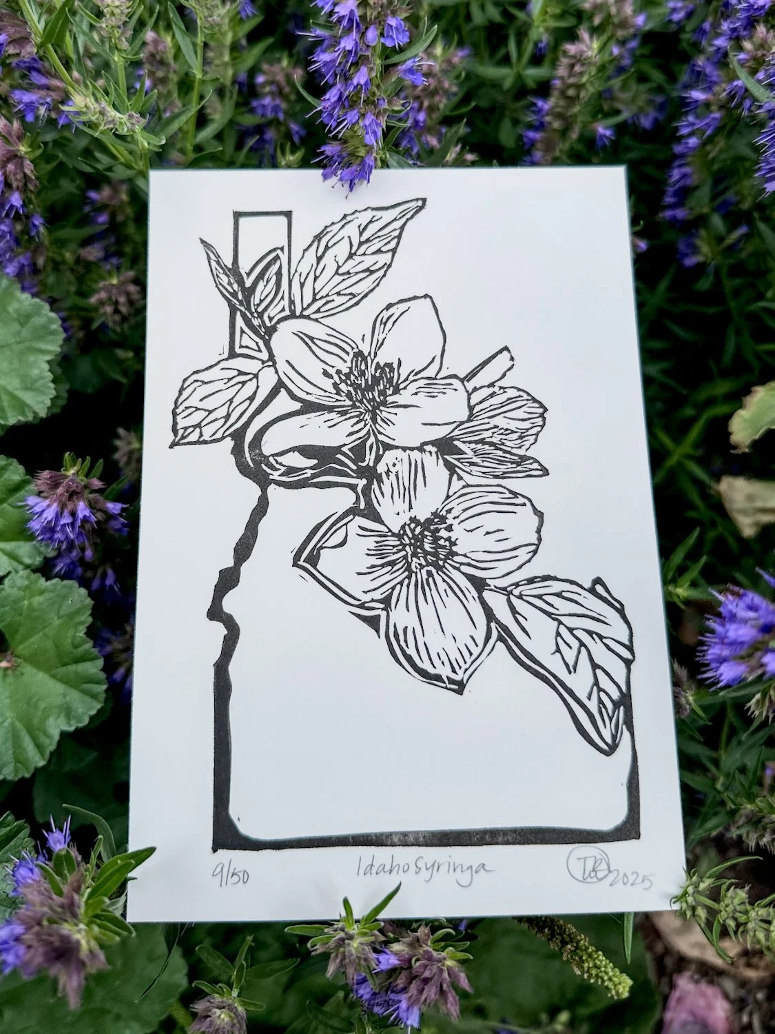 'Idaho Syringa' Block Print