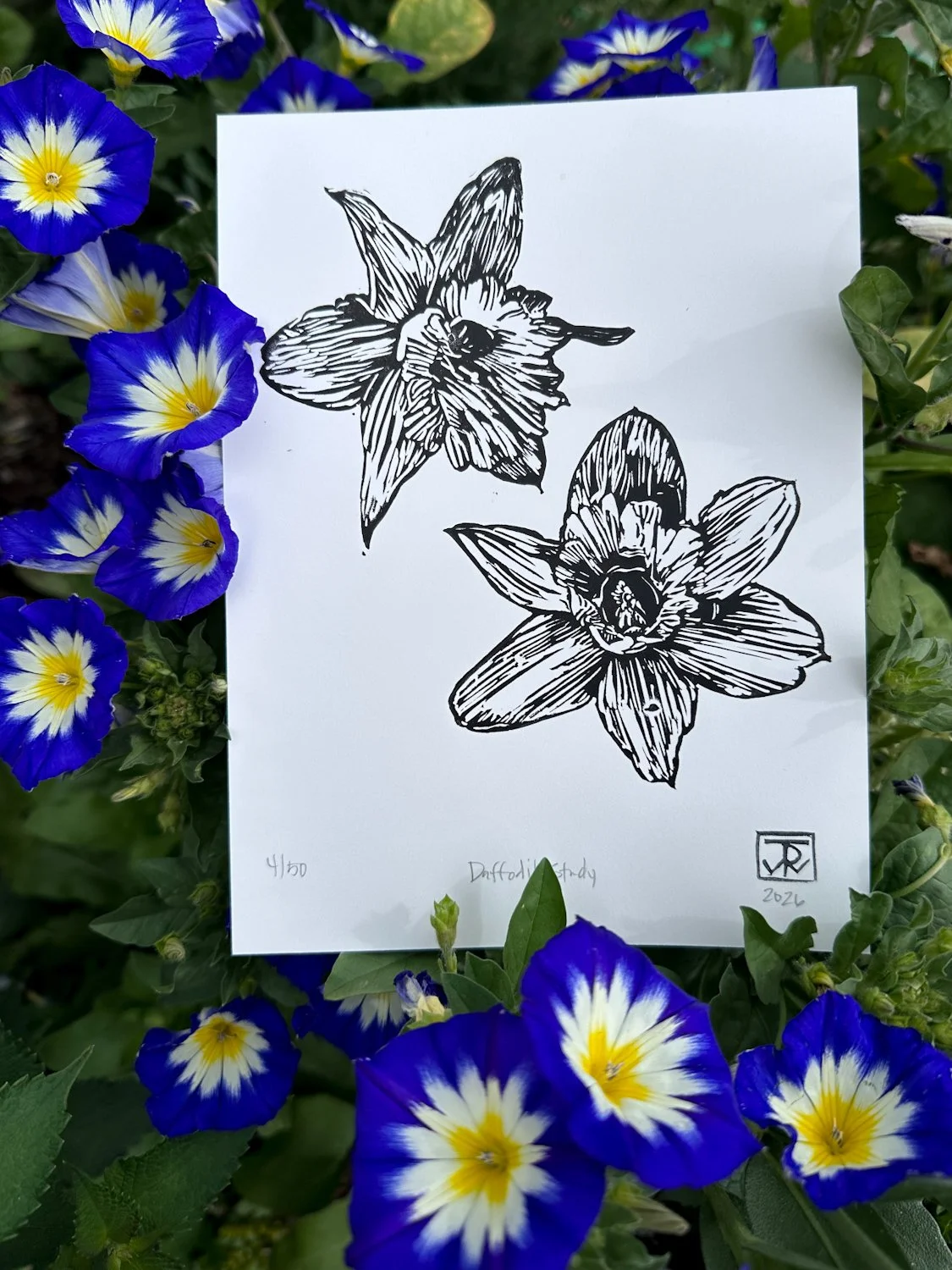 'Daffodil Study' Block Print