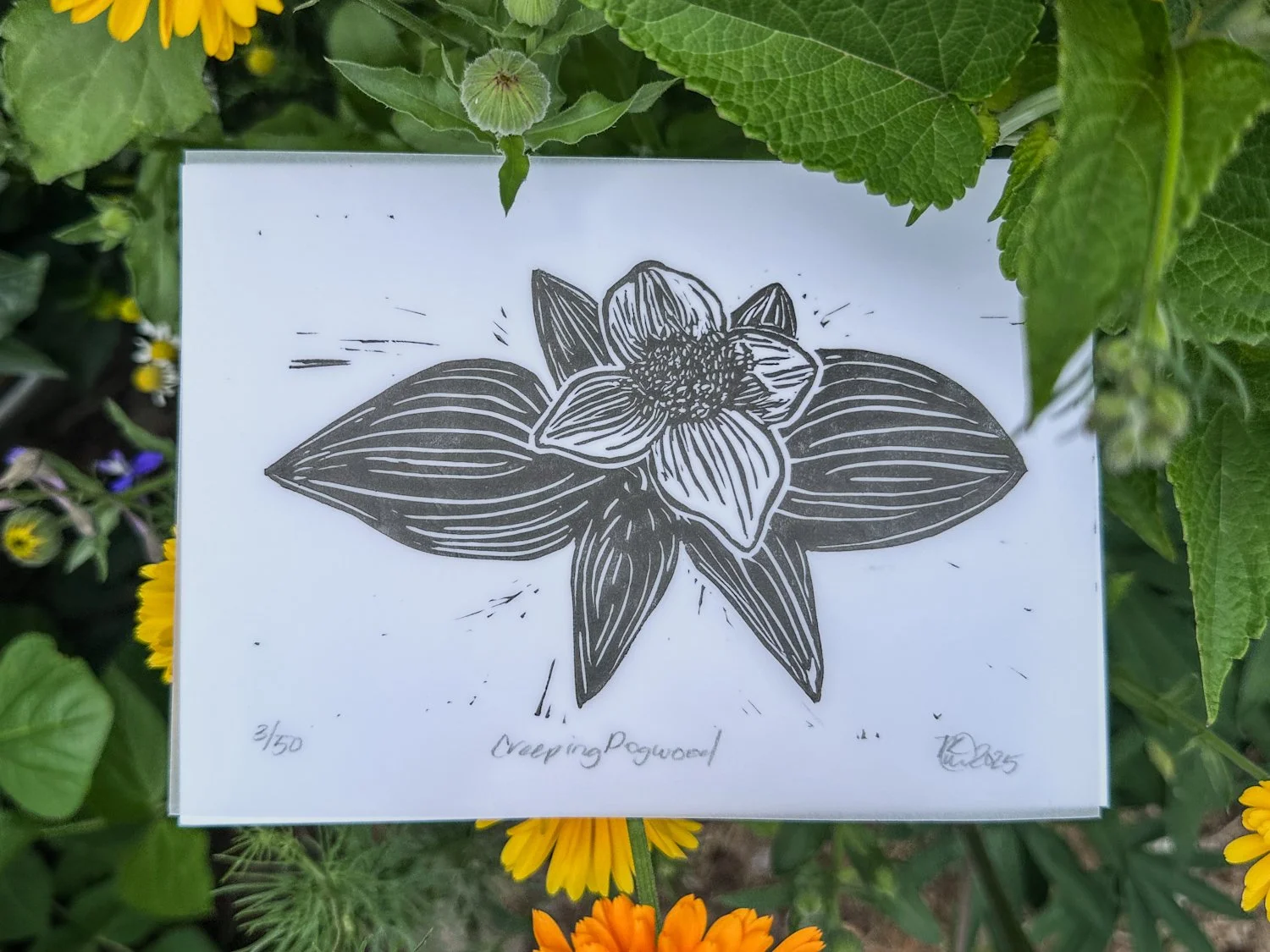 'Creeping Dogwood' Block Print