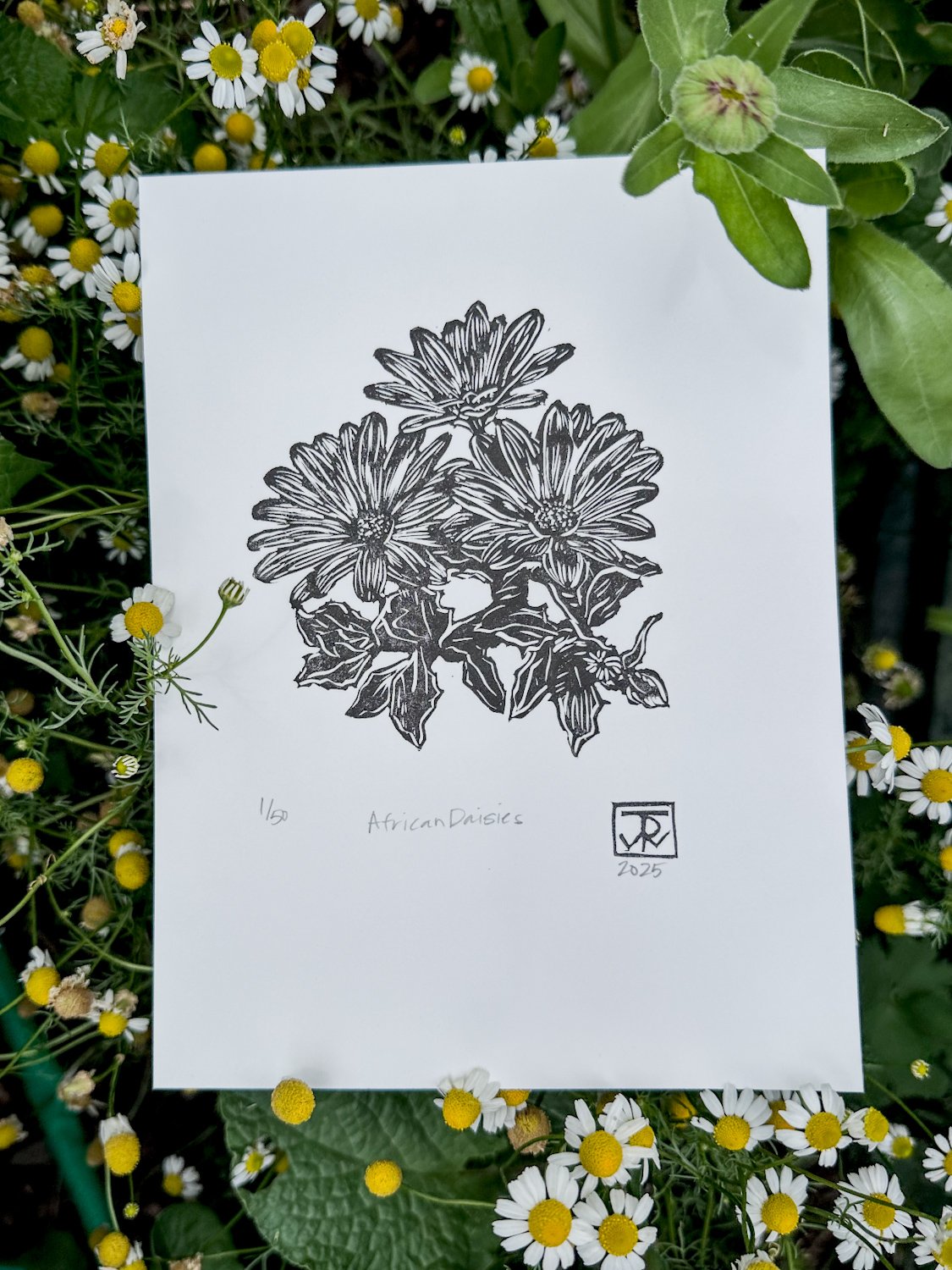 'African Daisies' Block Print