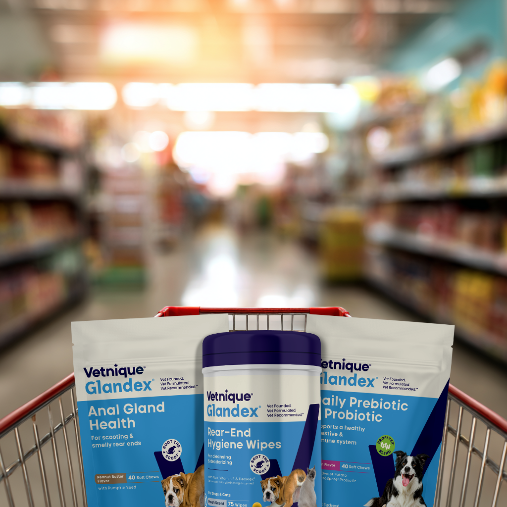 wmendoza7_a_photorealistic_straight_back_view_shopping_cart_i_219ace7e-16b1-4cc8-8165-05d1acb0e2ce_2.png