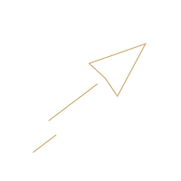 Minimalist rocket icon with a circular background and angled lines