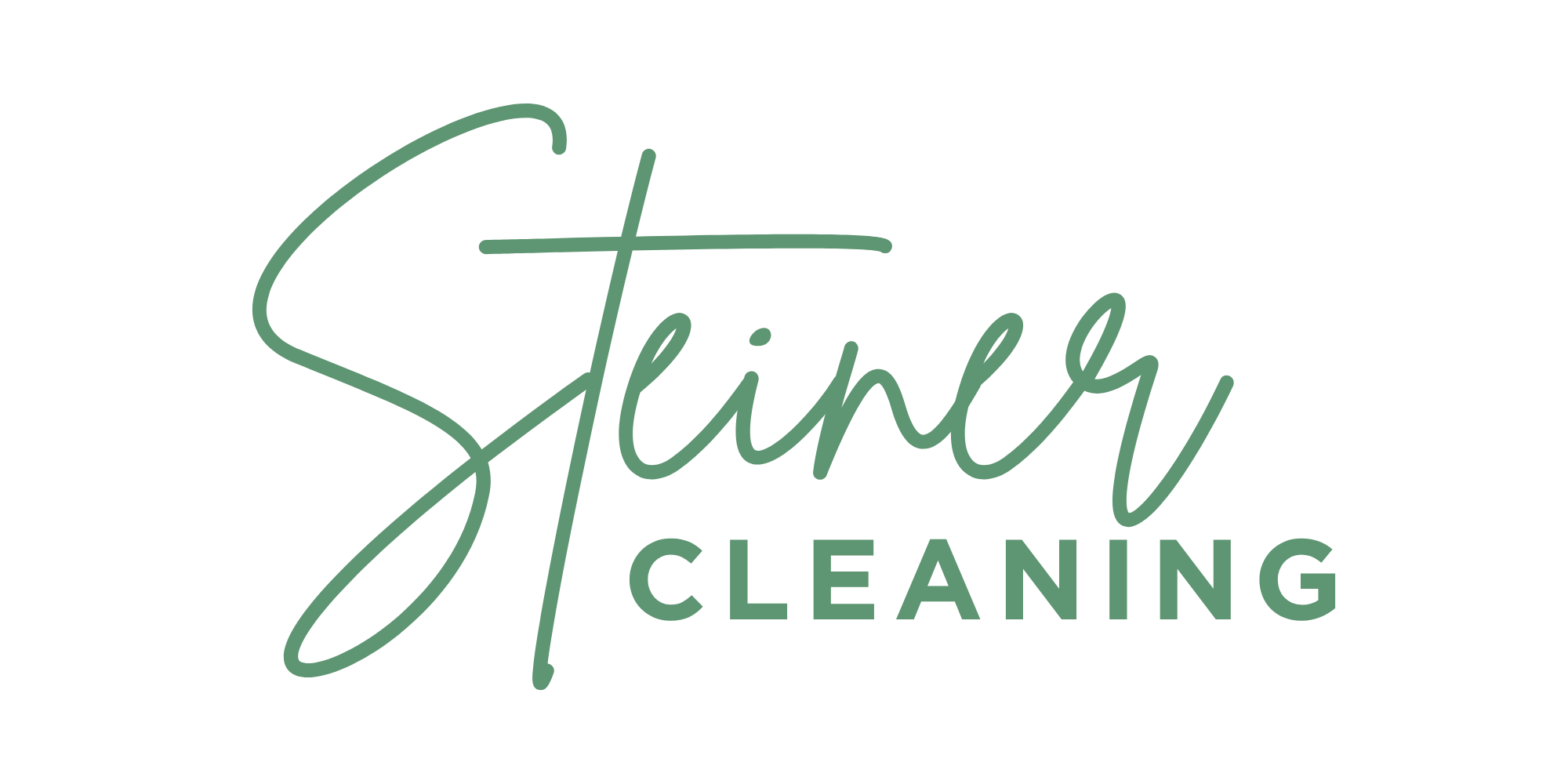 Stylized logo for Steiner Cleaning with cursive and bold lettering in green and black.