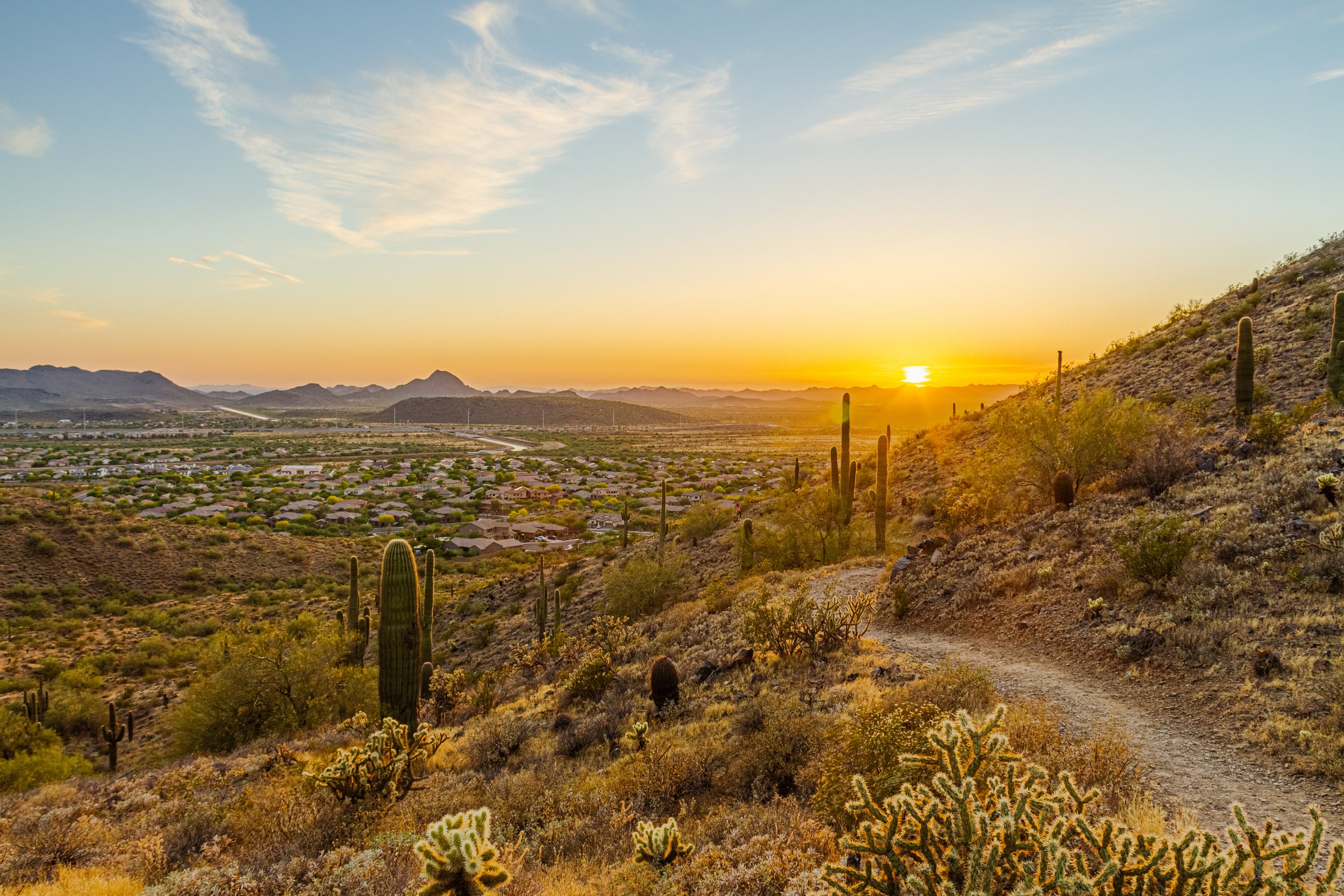 Desert landscape during sunset with cacti, hills, and a residential area in the distance under a partly cloudy sky.
