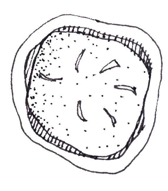 A black-and-white sketch of a slice of pizza with toppings.