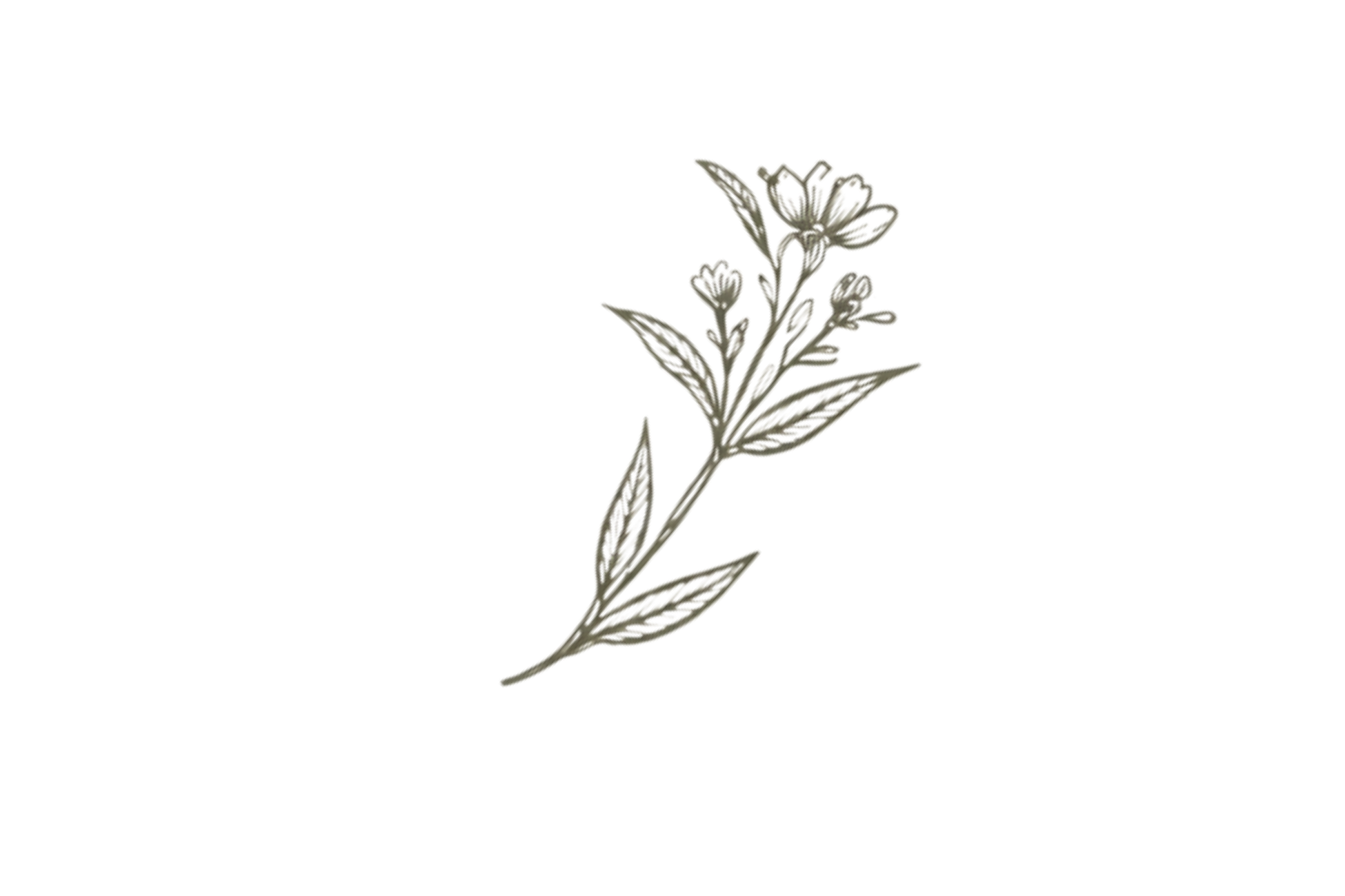 A stitched embroidery of a flowering plant with detailed leaves and flowers on a transparent background.