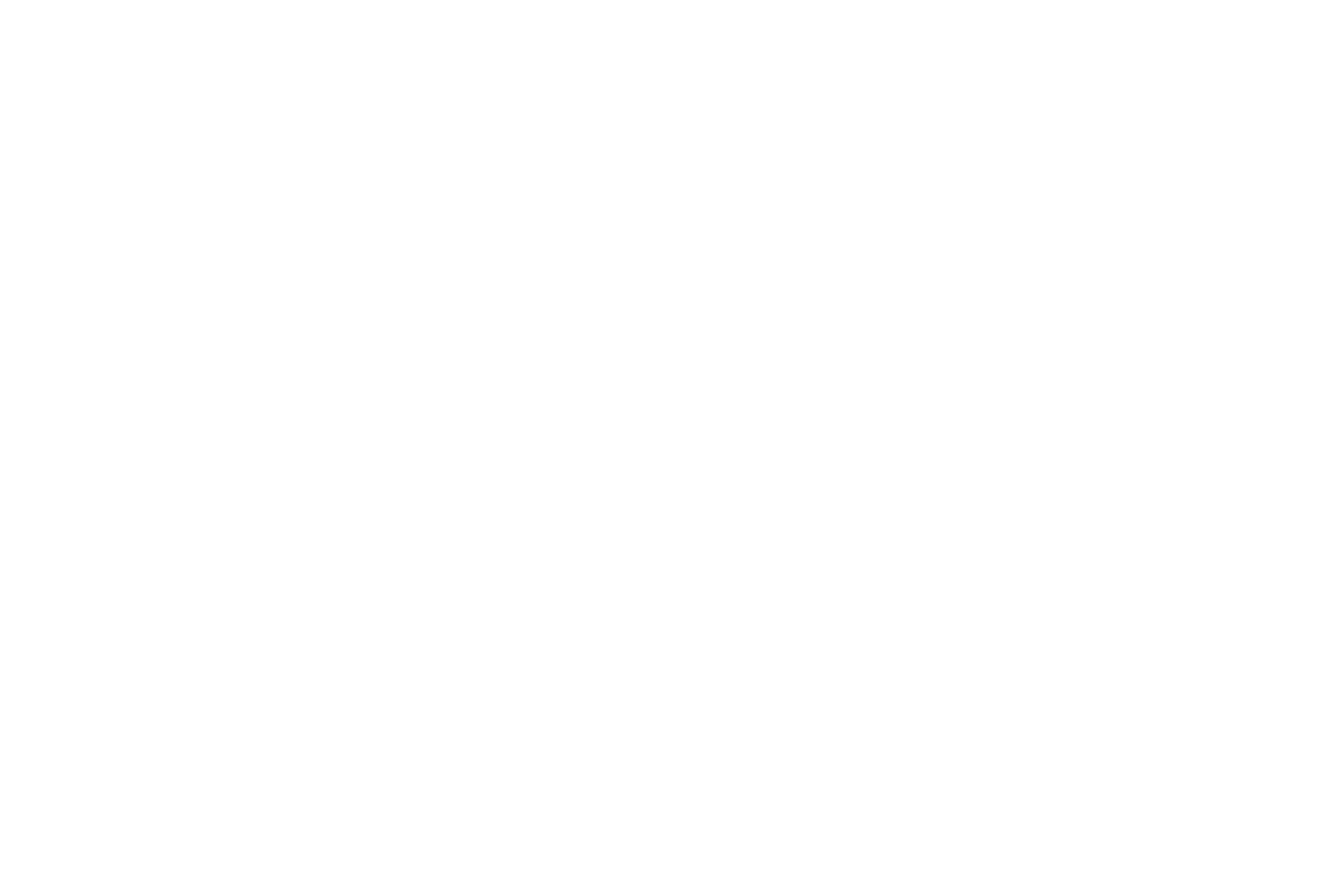 Black background with white text that reads 'Wild & Wonderful Design - Build' and an illustration of three wildflowers at the top.