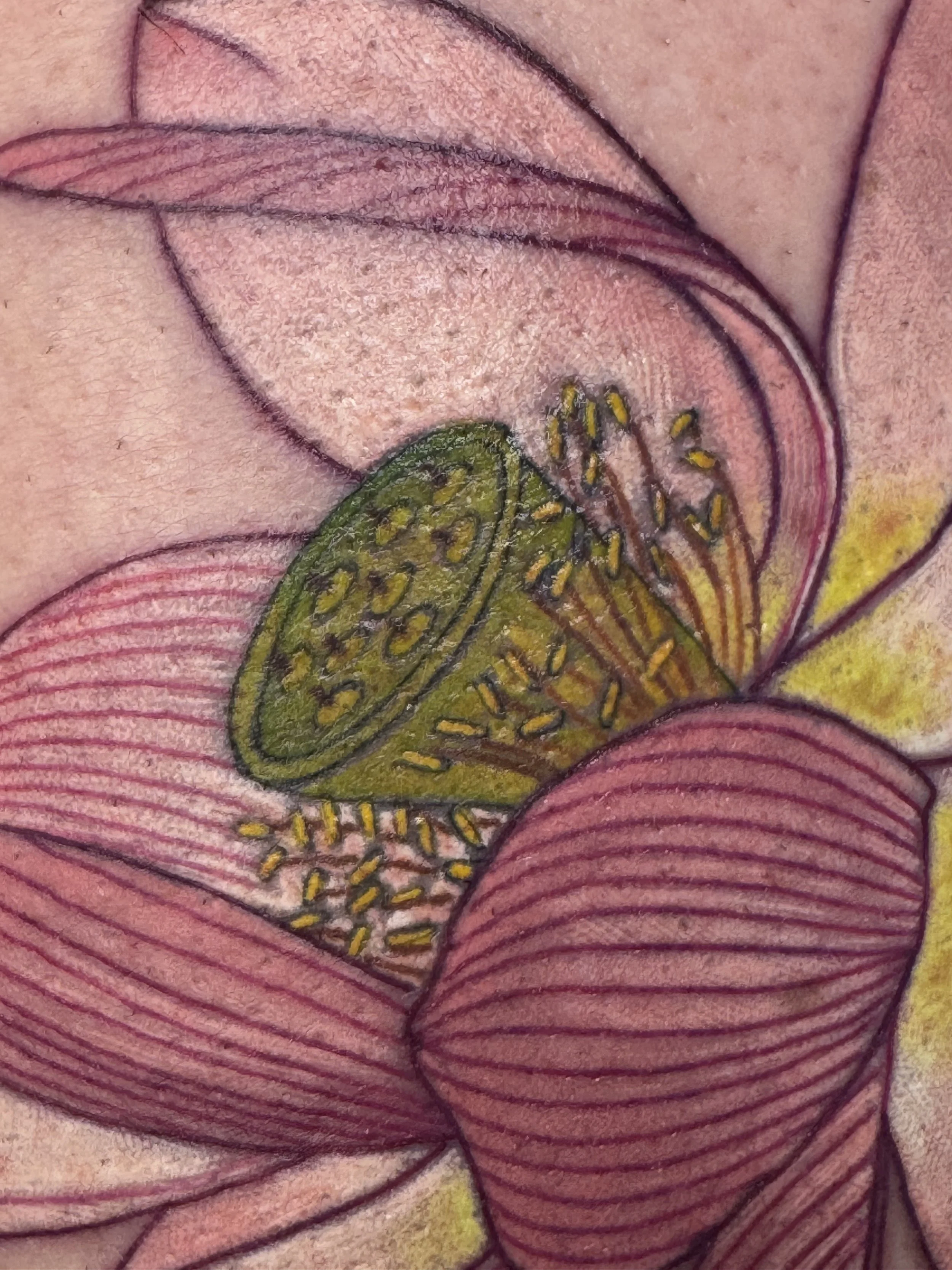 Close-up of a detailed, colorful drawing of a pink flower with green and yellow accents, featuring intricate lines and shading.