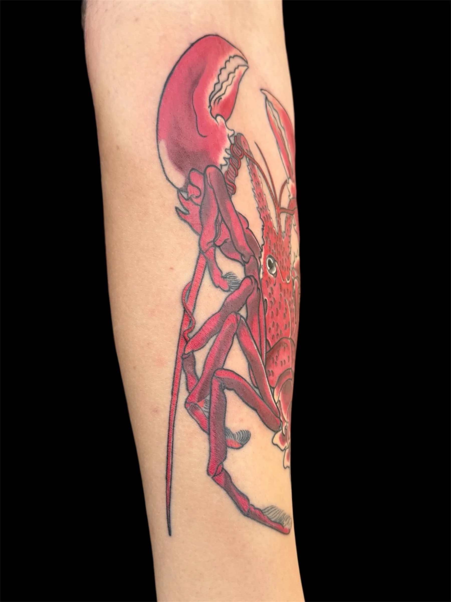 A tattoo of a red flamingo with detailed shading on a person's arm.