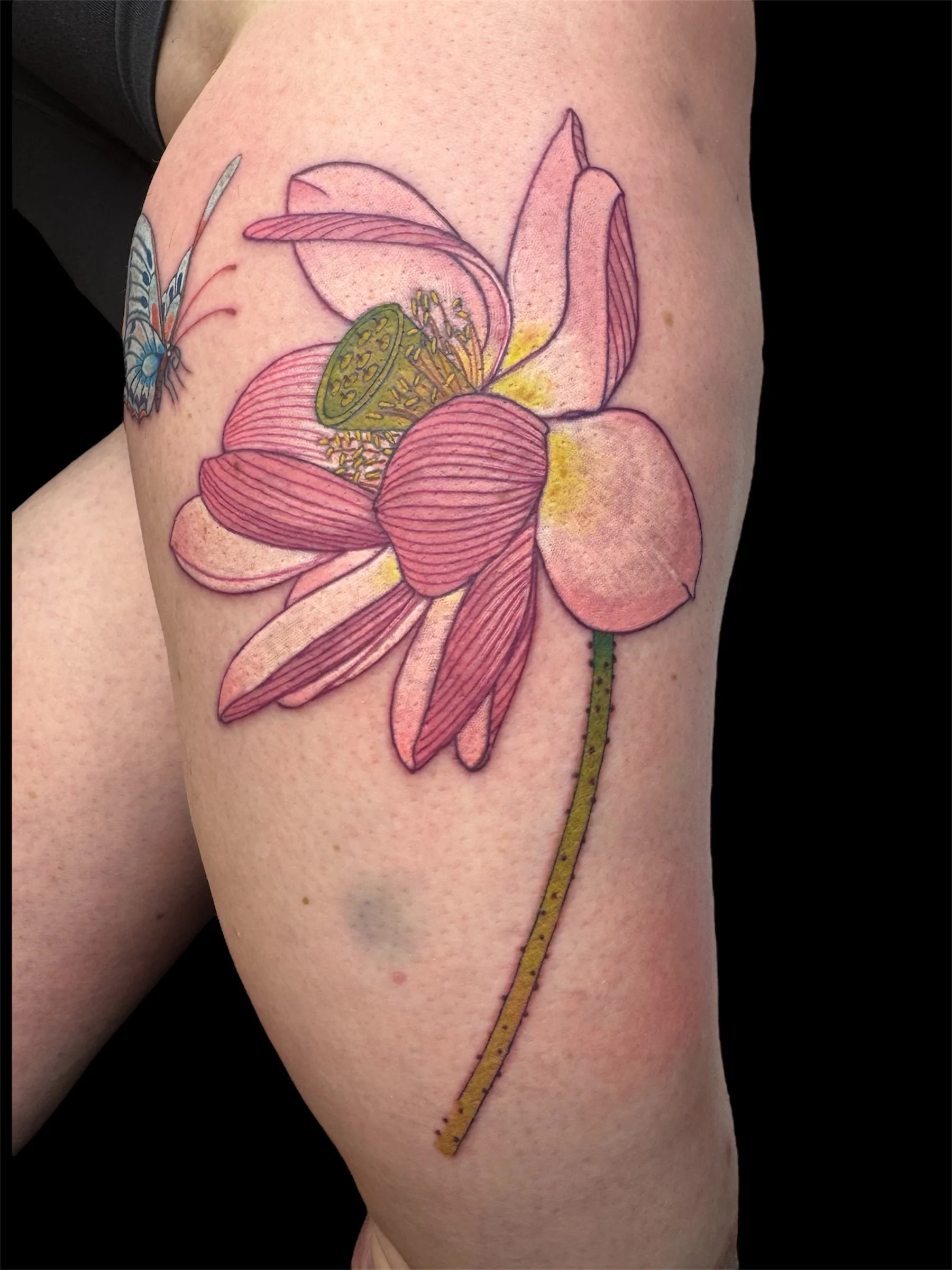 Colorful tattoo of a pink orchid flower with a blue butterfly on the petals, on a person's skin.