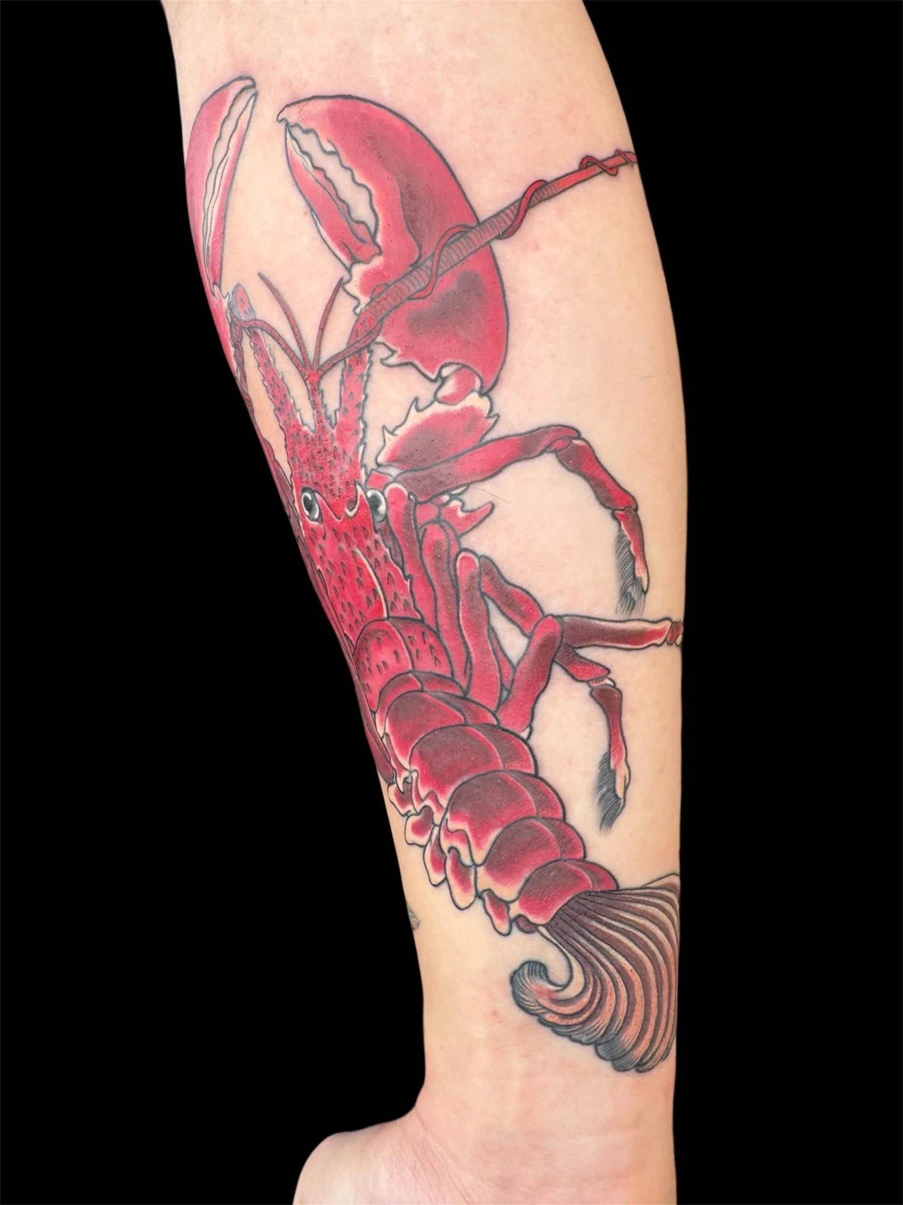 Tattoo of a red lobster with black outlines on a person's arm.
