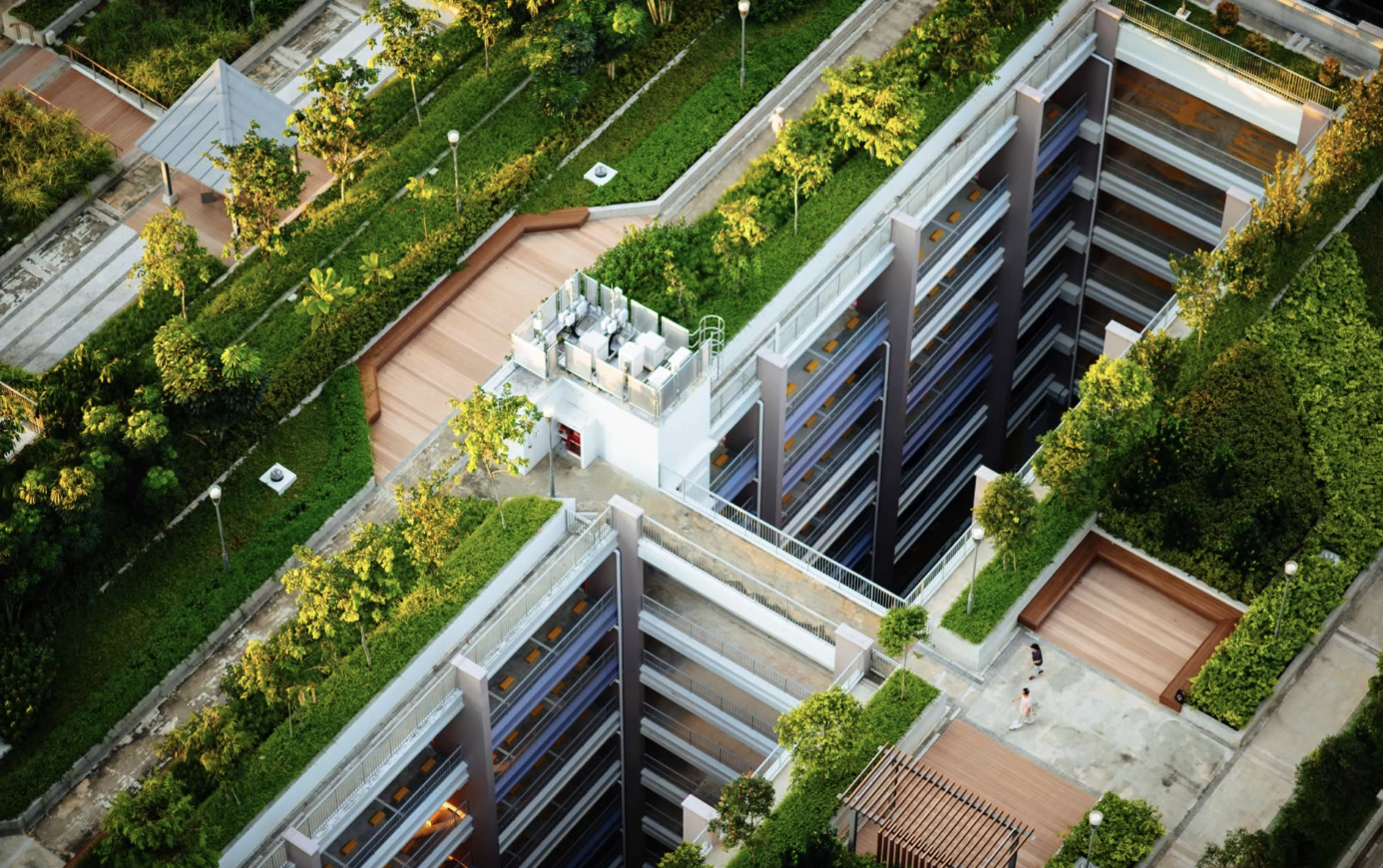 Rooftop Gardening &amp; More