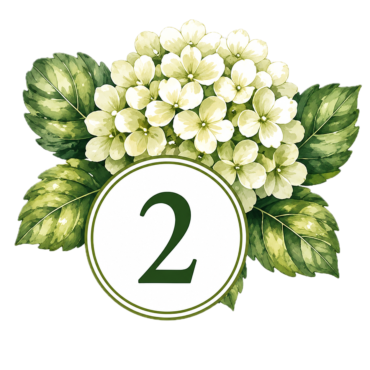 A floral arrangement of white hydrangea flowers surrounded by green leaves with a white circular sign displaying the number two