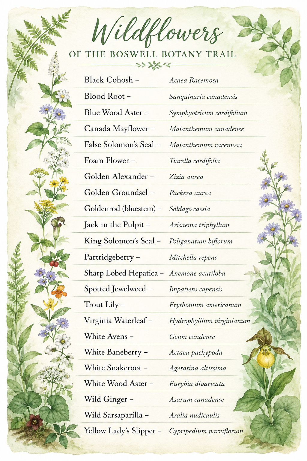 Chart listing various wildflowers of the Boswell Botany Trail, with botanical names and illustrations of each flower.