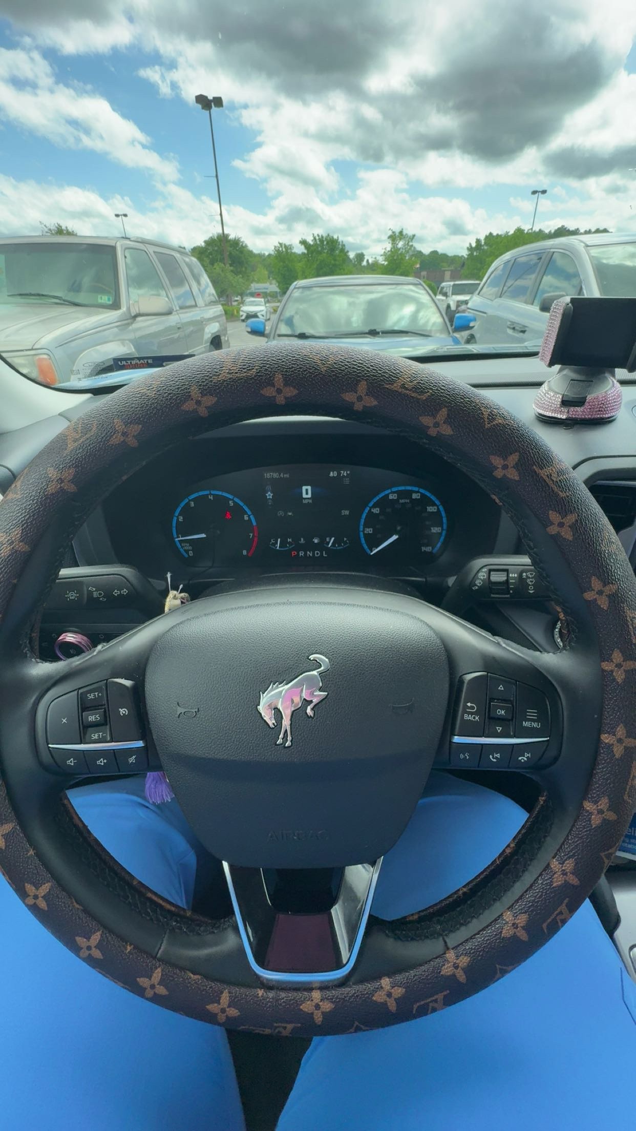 **PREORDER** LV Steering Wheel Cover