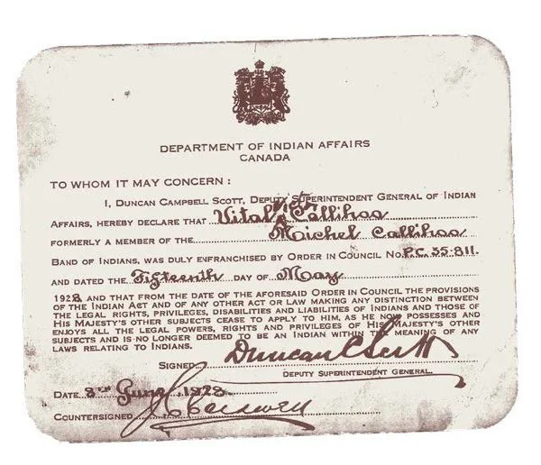 Enfranchisement card photo v2.jpeg