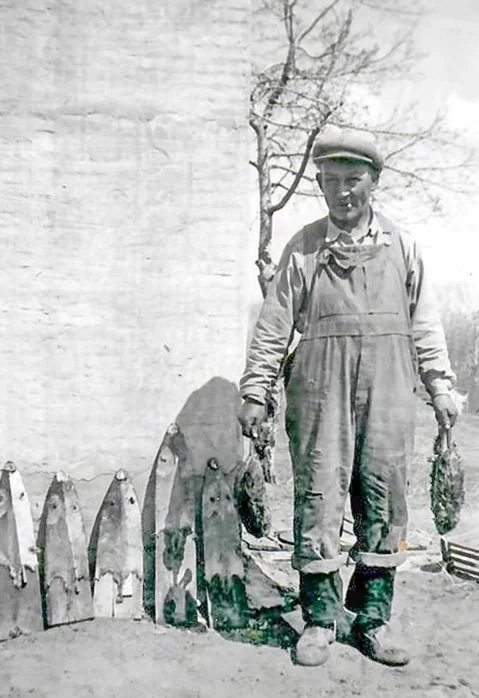 Alex L'Hirondelle drying muskrat skins at Devon.jpeg