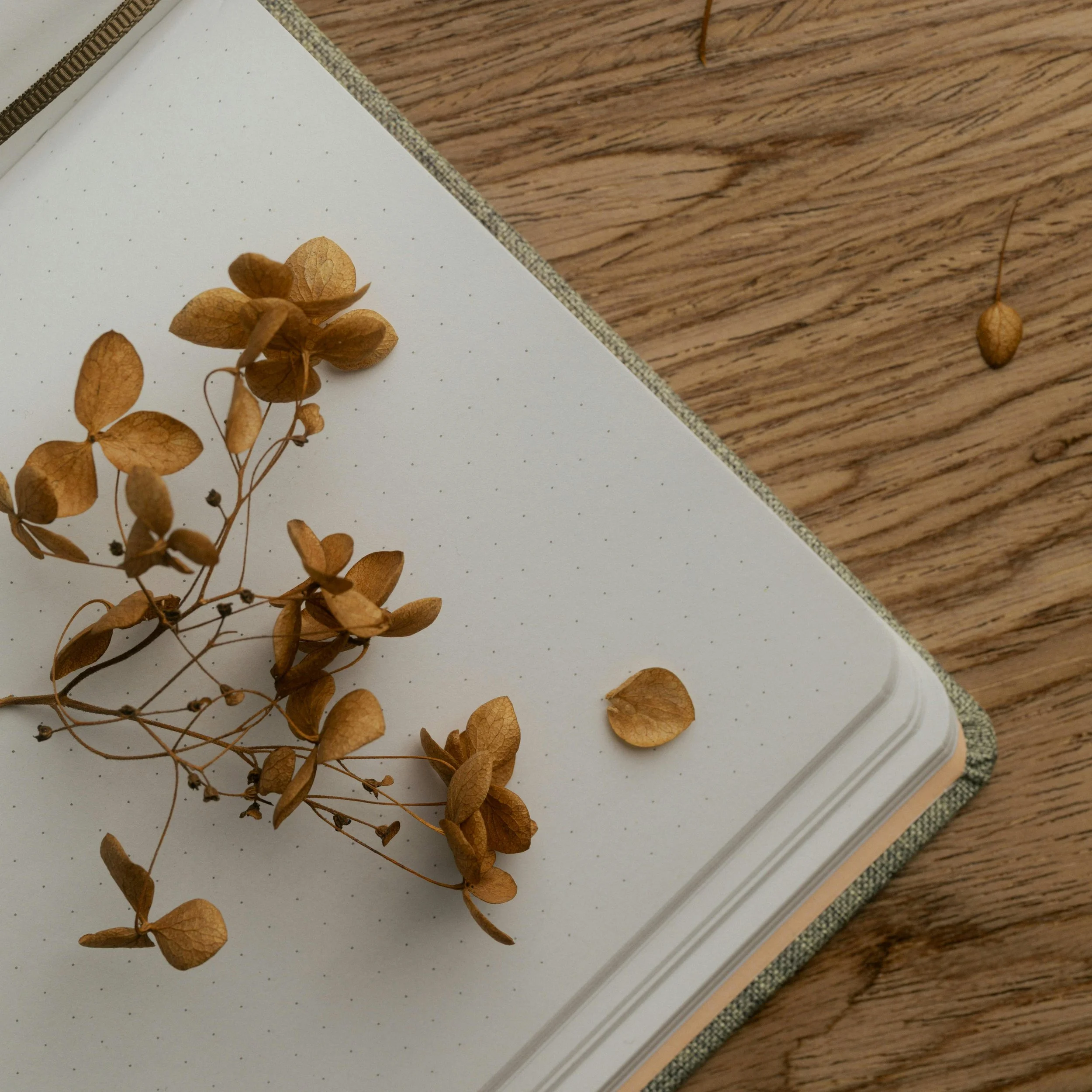 On the Scent: A Creative Writing Workshop