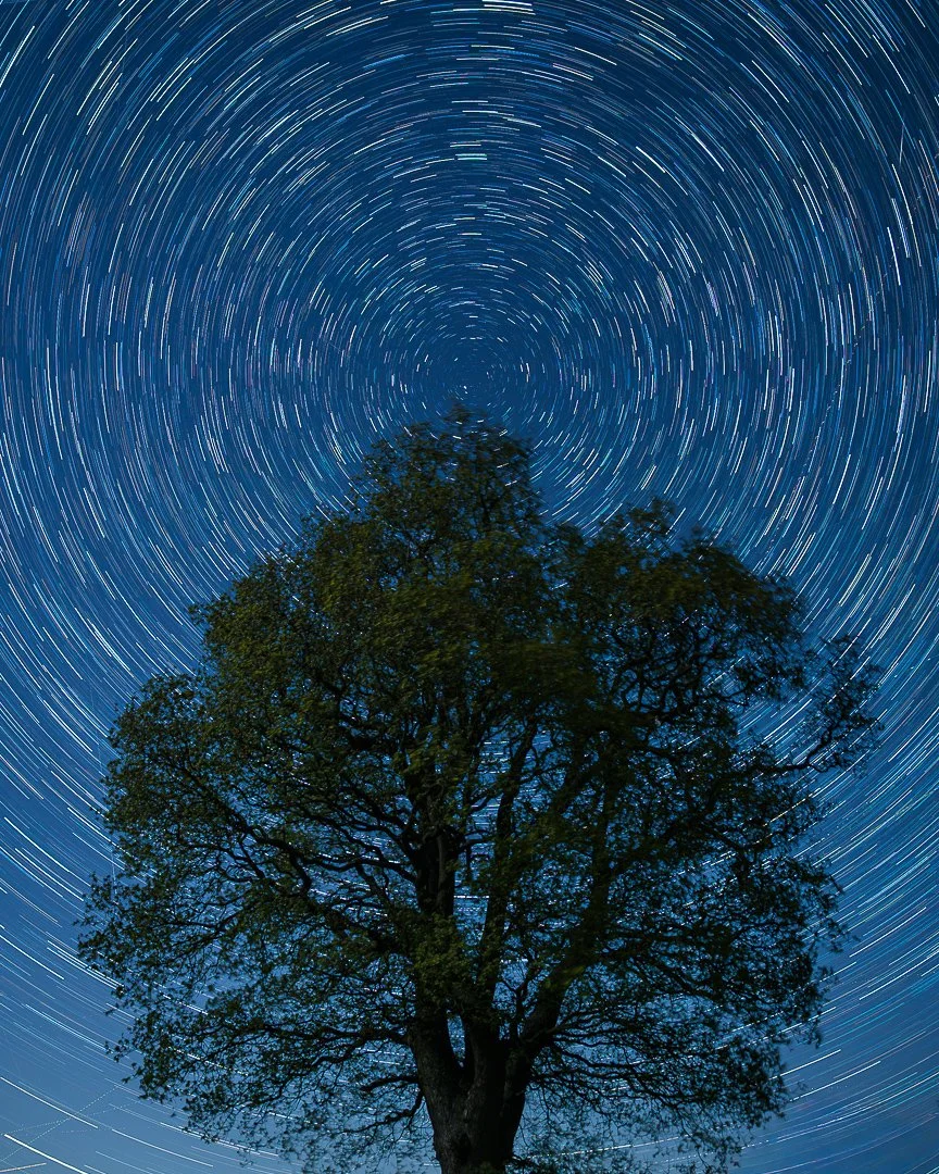 After Dark Project