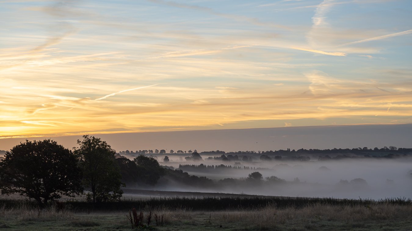 Middletonwander-3.jpg