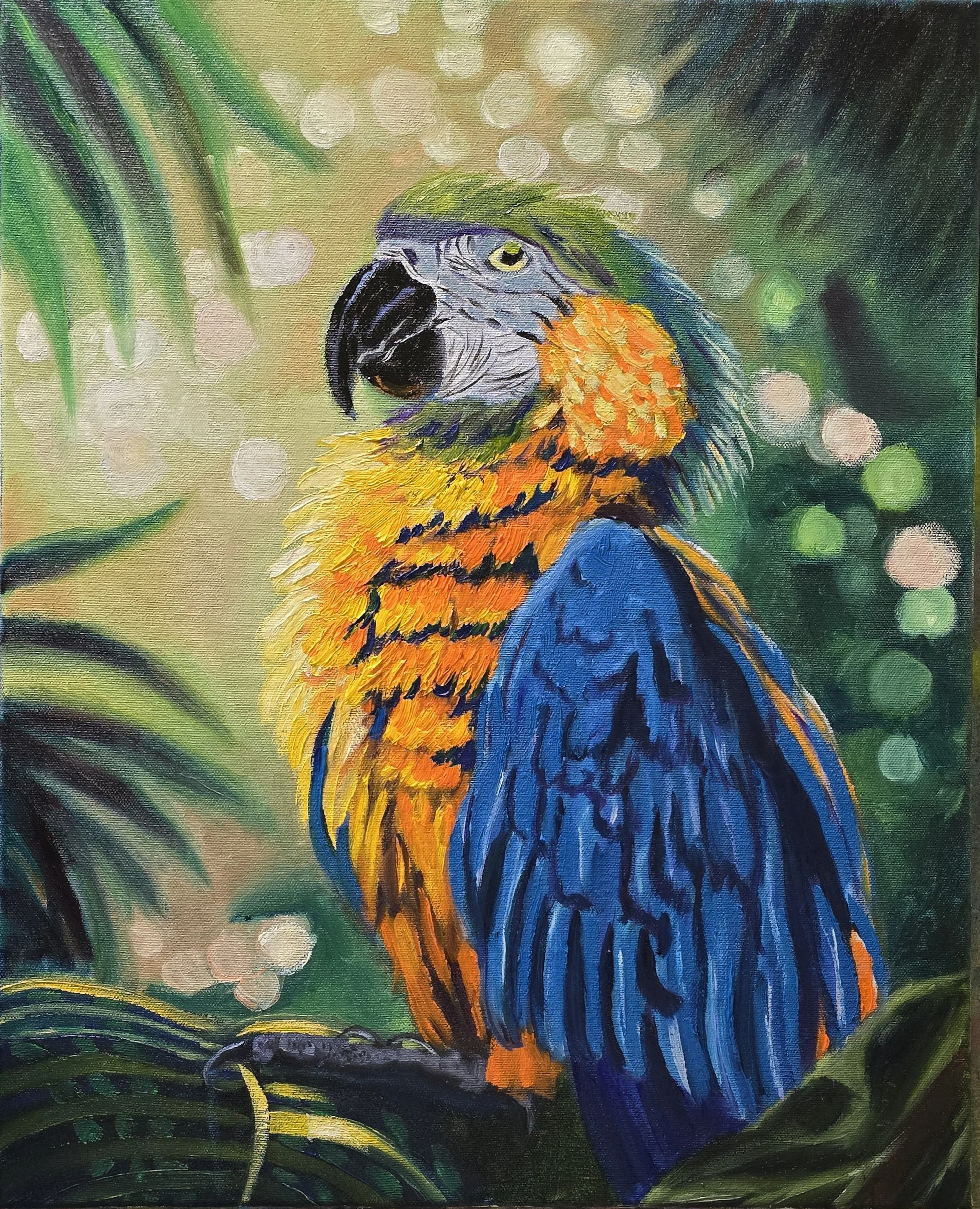 Pretty Bird