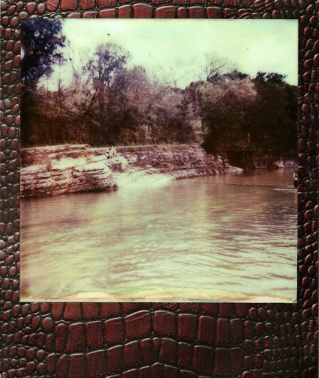 Nature’s Swimming Pool: Barton Springs