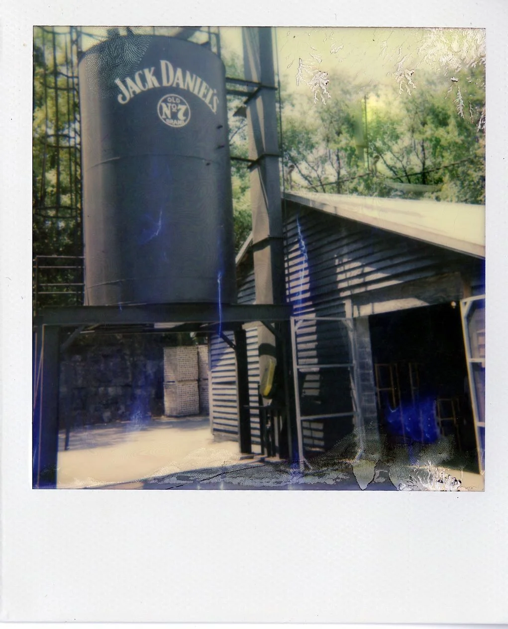 Jack on the Rocks