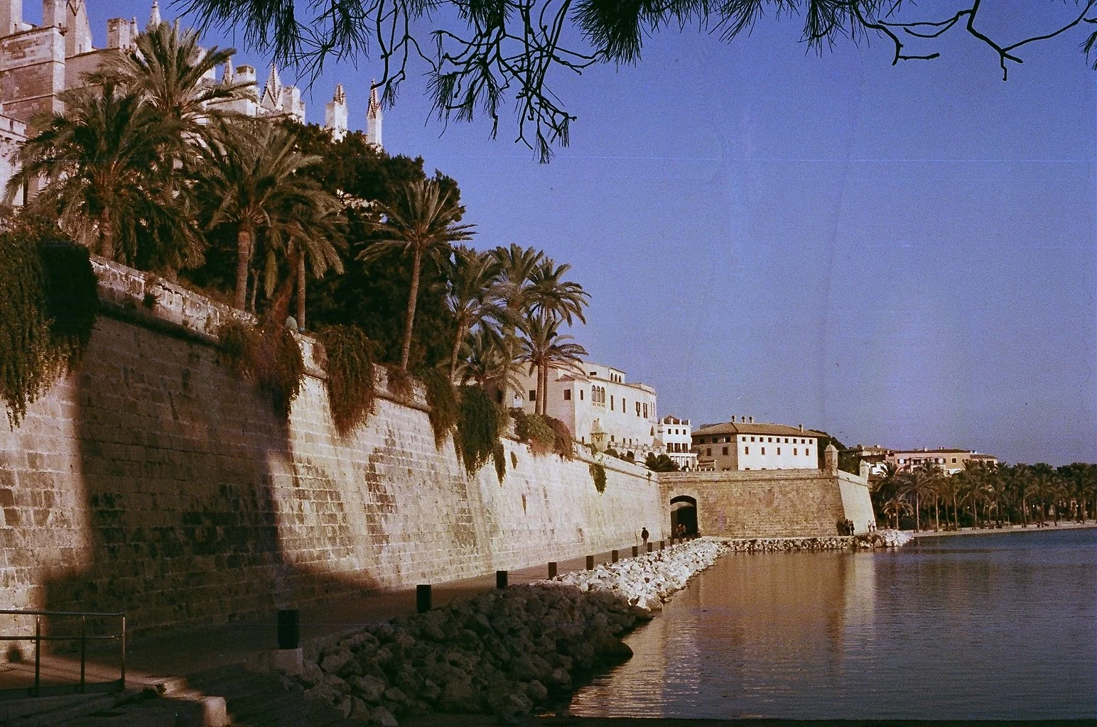 93080025.JPG